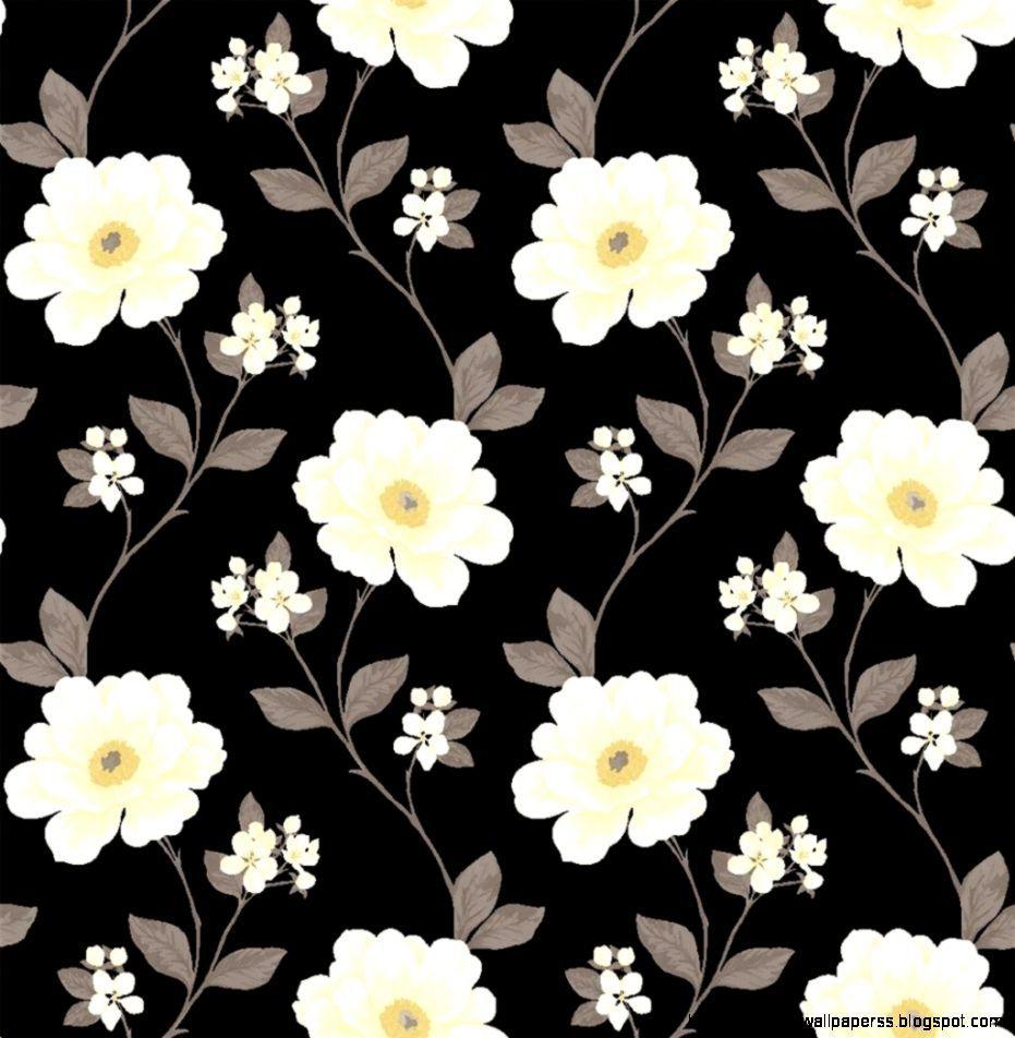 Black and Cream Wallpapers - Top Free Black and Cream Backgrounds