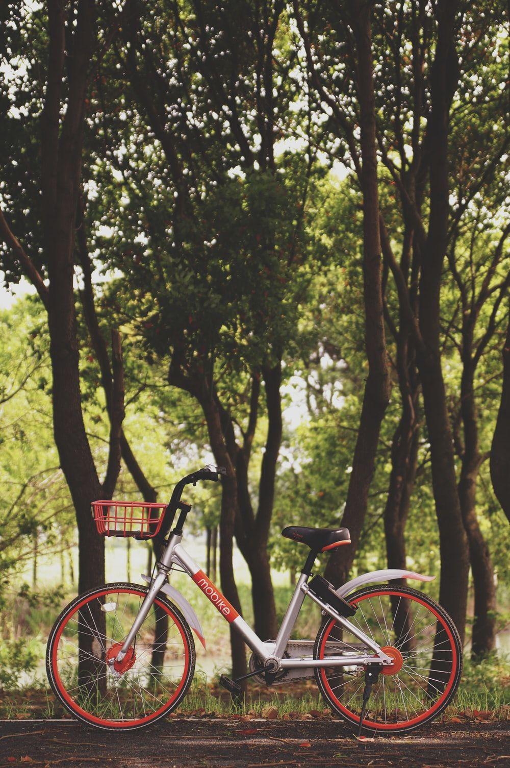 1000x1505 Cycle Picture. Download Free Image