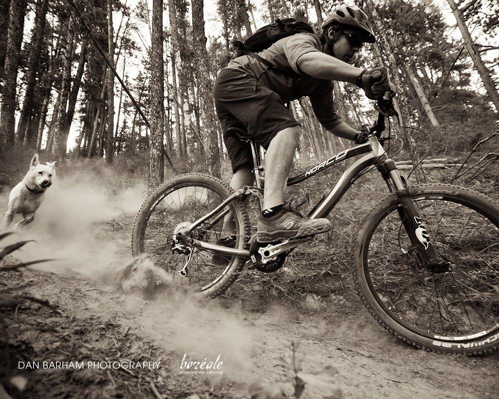 1000x800 Wallpaper Downhill Mountain Bike Life Cicles Avi Taringa Bike HD Wallpaper