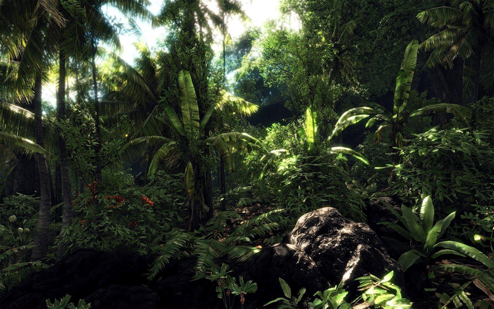 1600x1000 Crysis Jungle Wallpaper