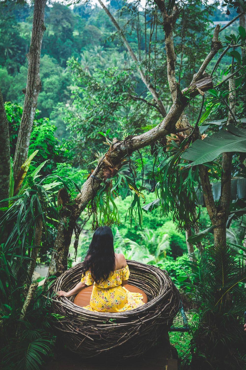 1000x1500 Jungle Temple Picture. Download Free Image