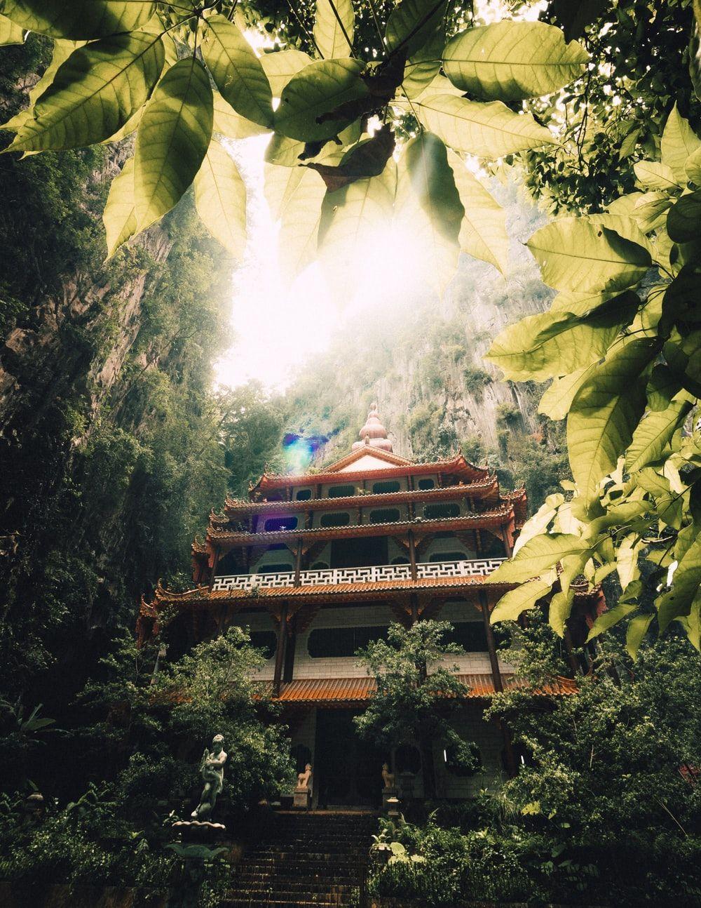 1000x1294 Jungle Temple Picture. Download Free Image