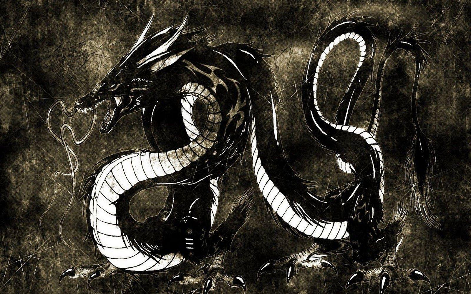1600x1000 Japanese Dragon HD Aesthetic Wallpaper