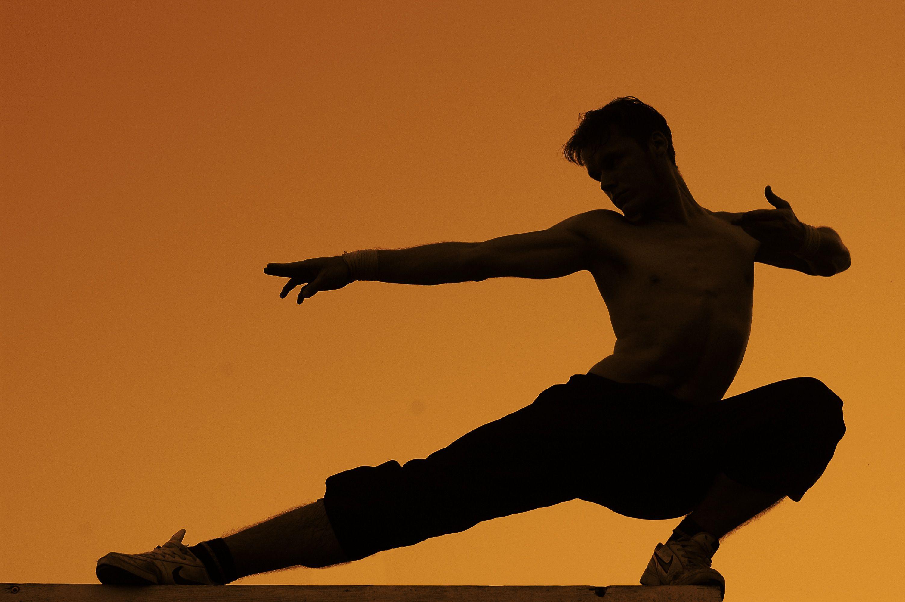 3008x2000 HD Martial Arts Wallpaper