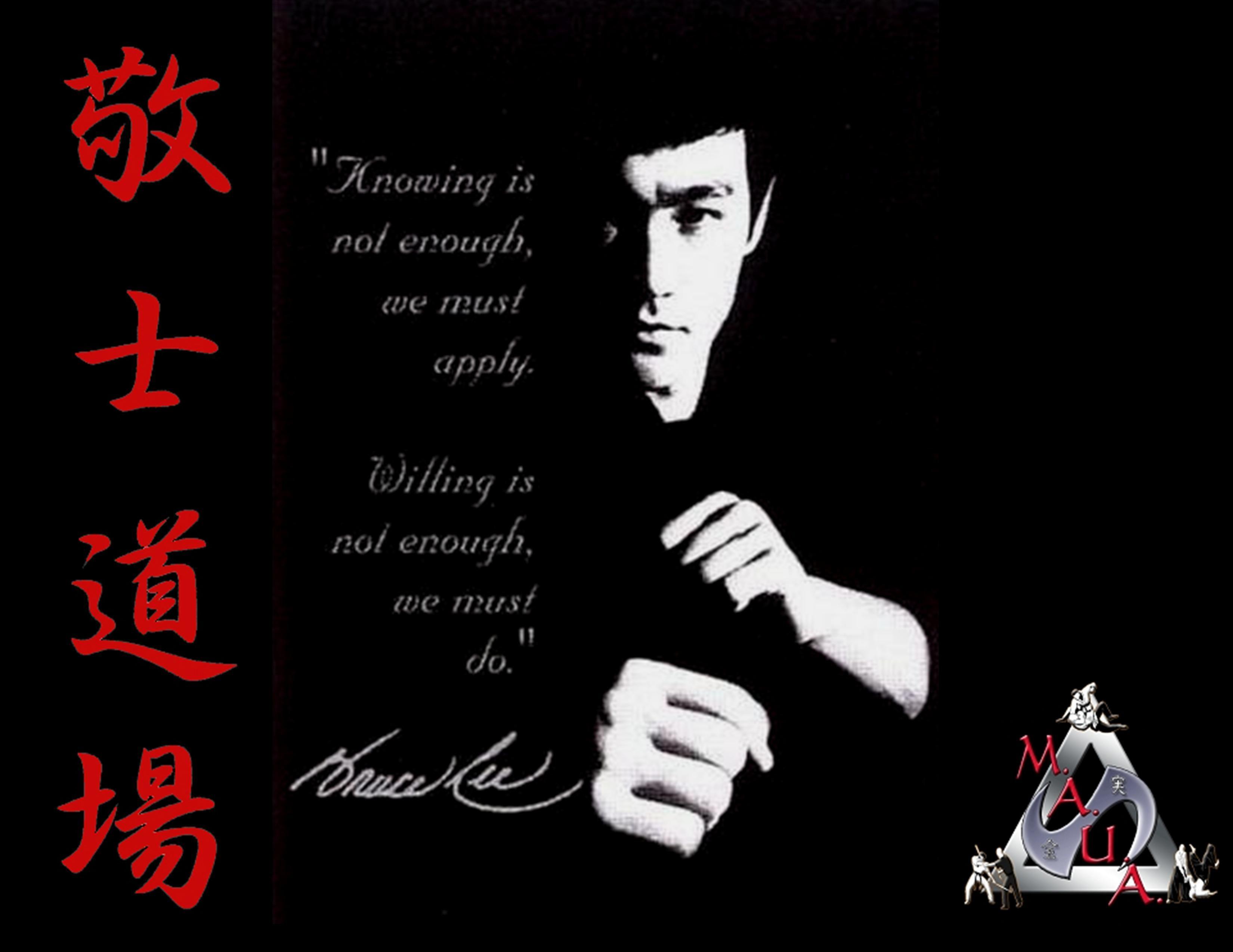 3300x2550 Balls of Steel: The Martial Art of a Writing Community