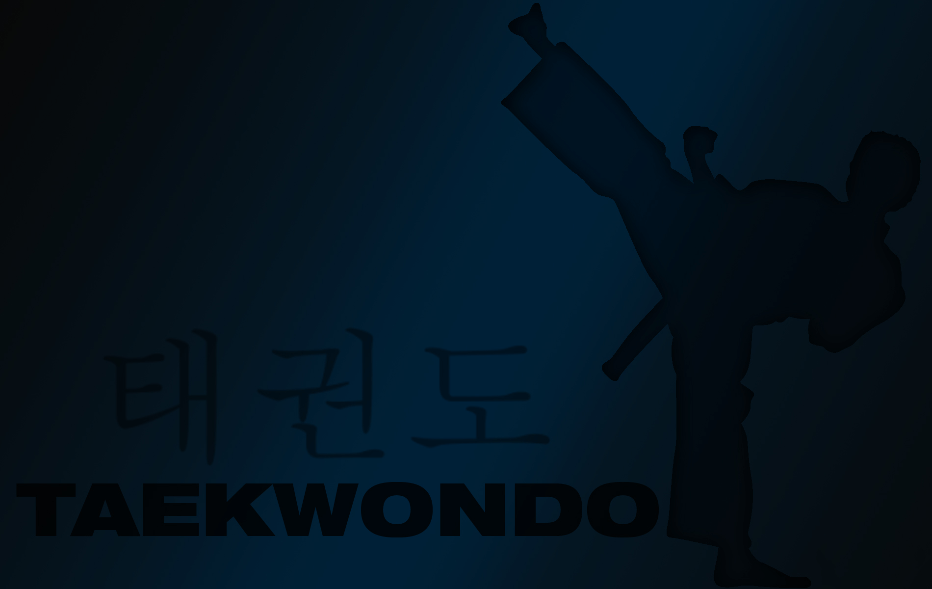 1900x1200 Martial Arts Wallpaper and Background Imagex1200