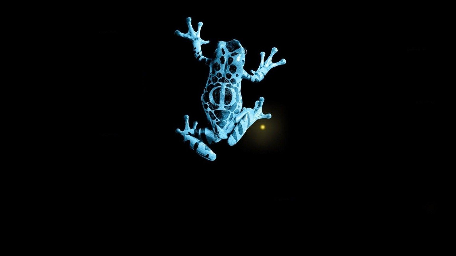 1920x1080 SimplyWallpaper.com: Fringe animals black background blue dots
