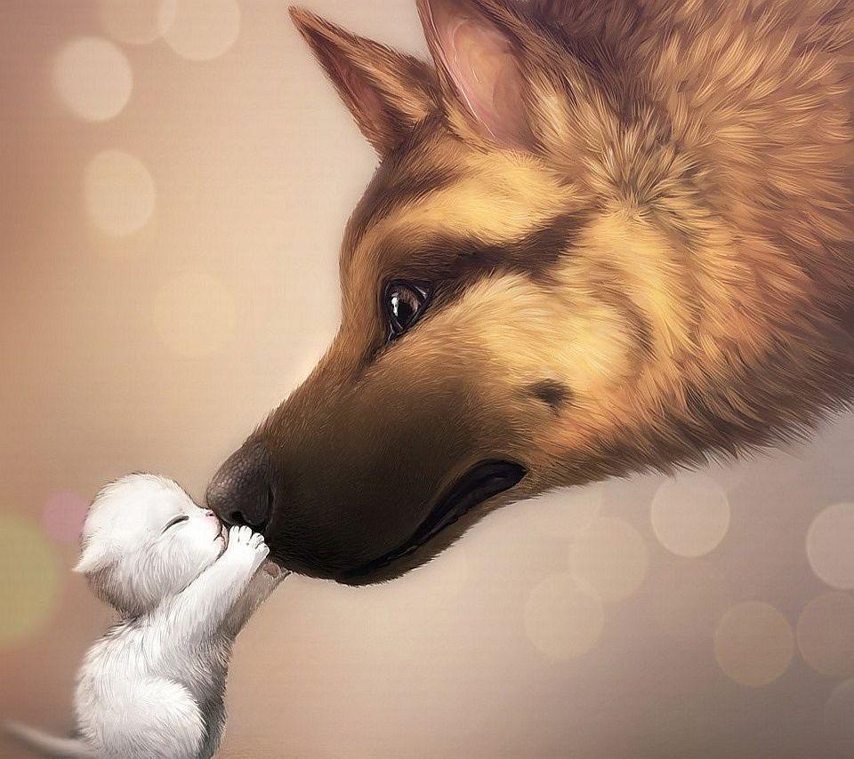 960x854 Ultra HD Cute Animal HD Wallpaper