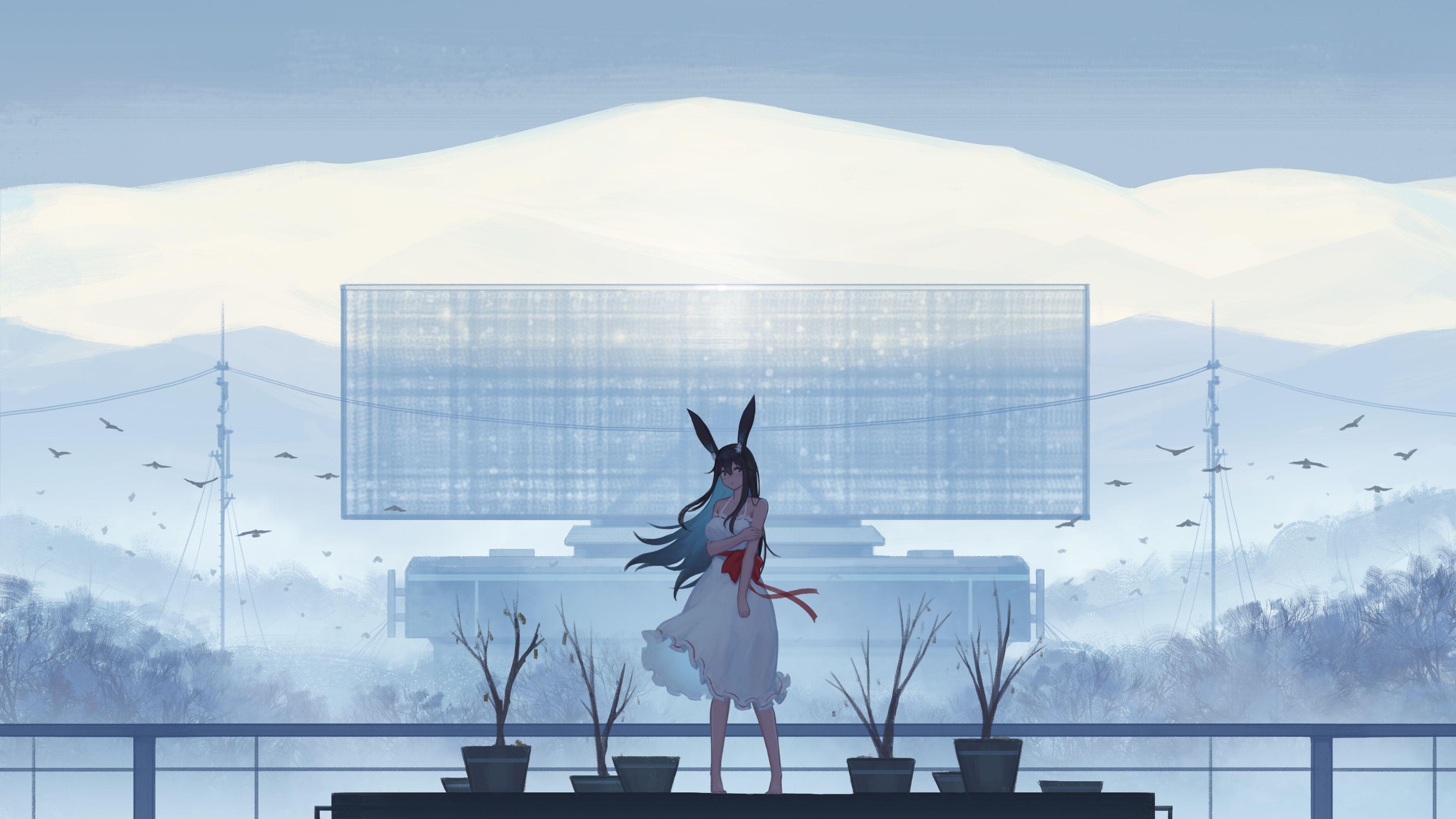 3506x1972 Anime Girl In White Dress, HD Anime, 4k Wallpaper, Image, Background, Photo and Picture