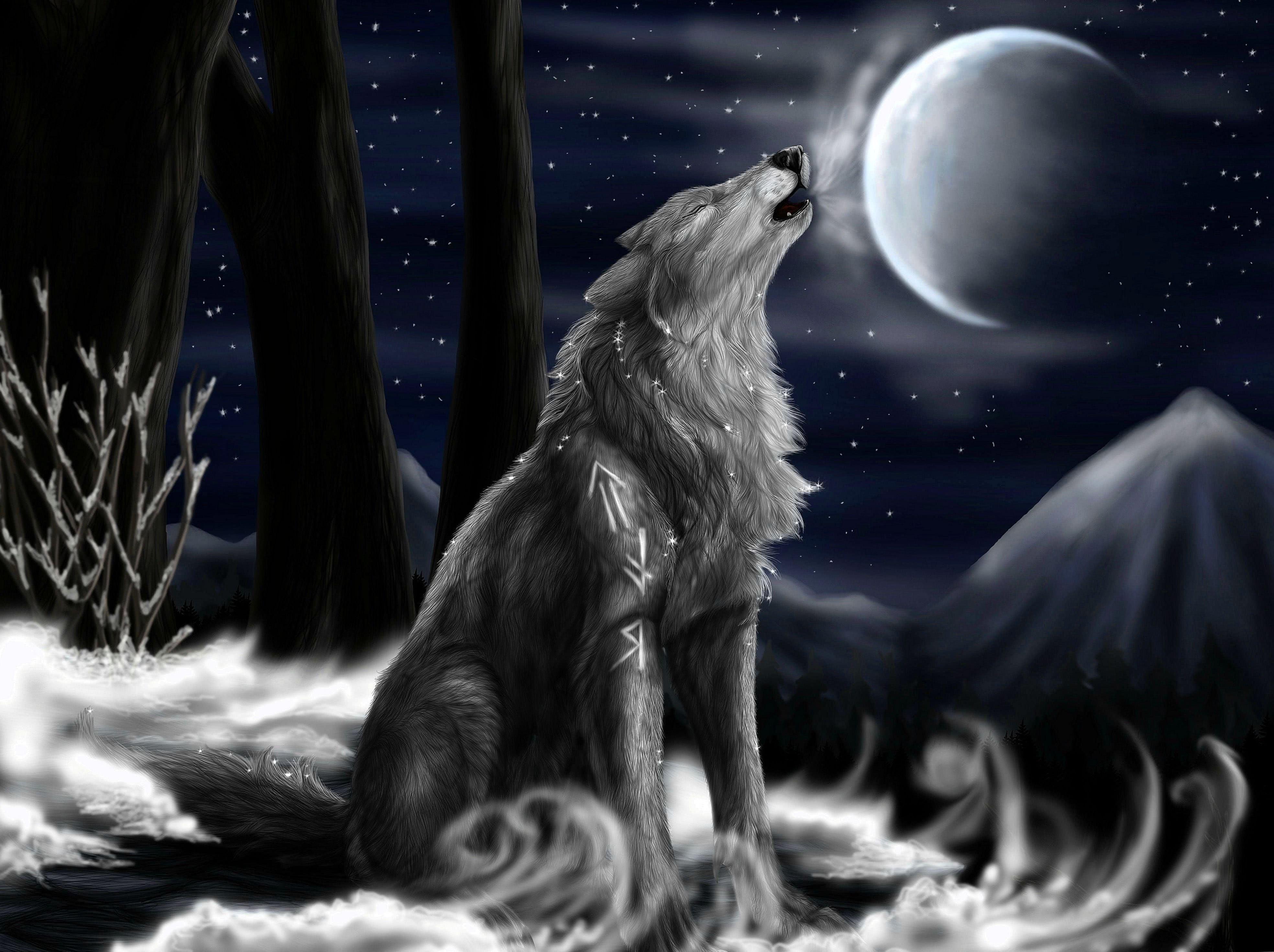 3935x2941 Wolf Drawing Wallpaper Wallpaper.pro