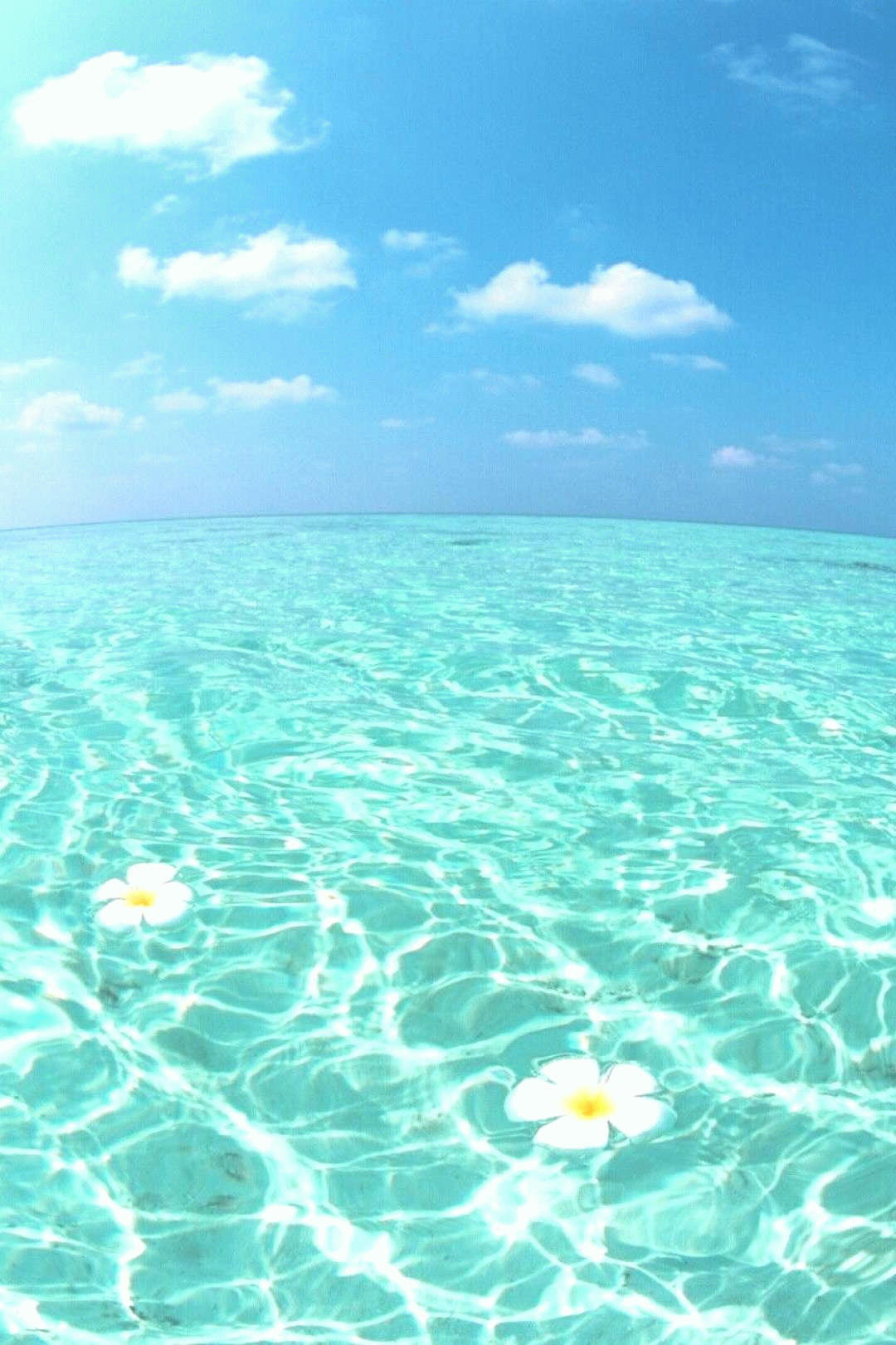 1080x1620 Pin On Adaisonaraujo In 2020 iPhone Wallpaper Sky Cute Beach
