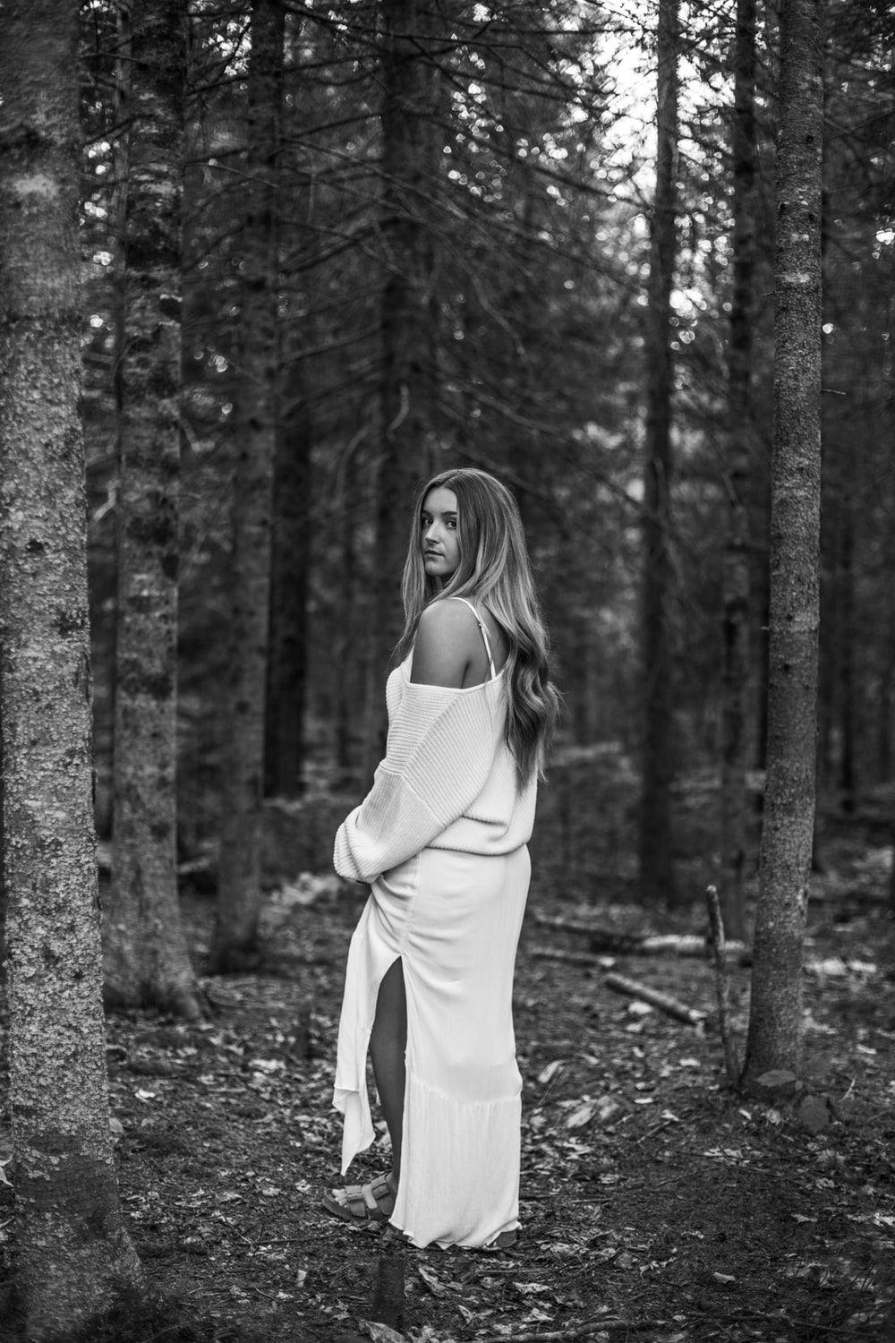 1000x1500 Grey Forest Picture. Download Free Image