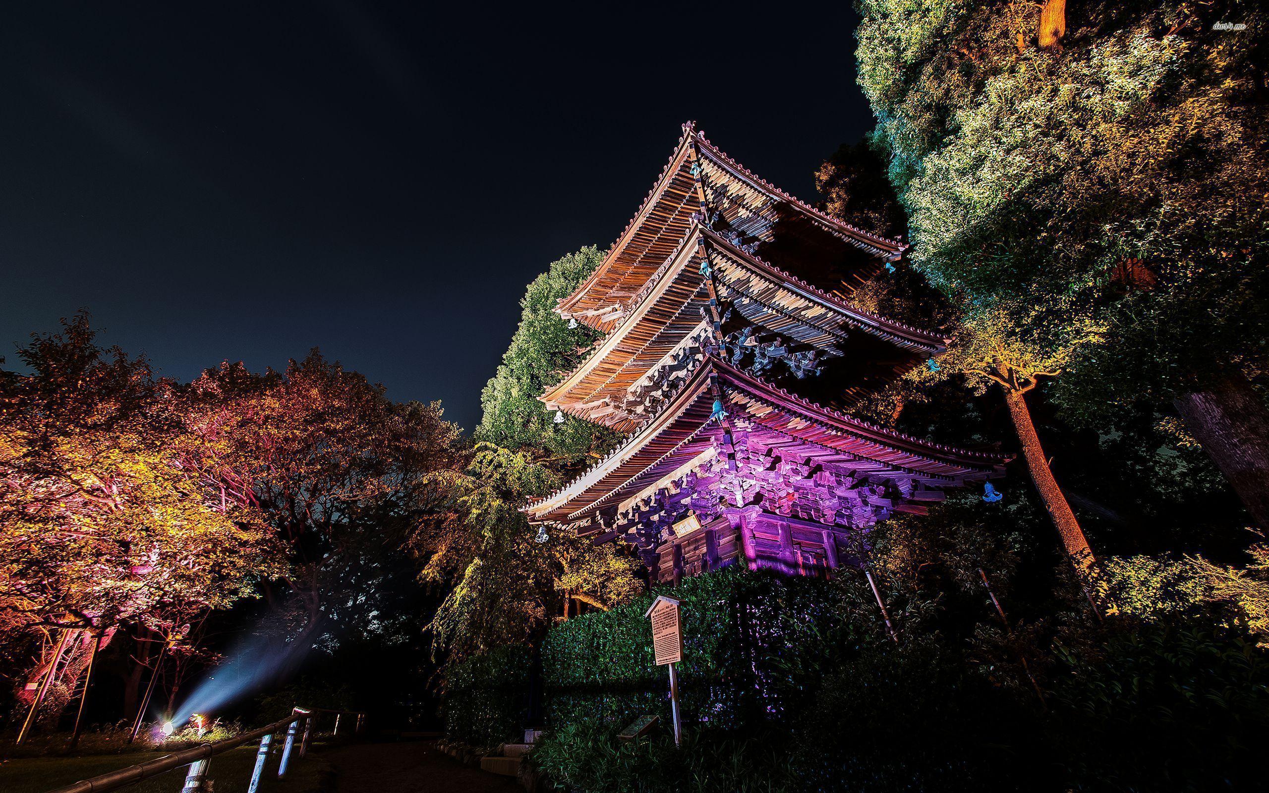 2560x1600 Wallpaper : Tokyo, night 2560x1600 Wallpaper
