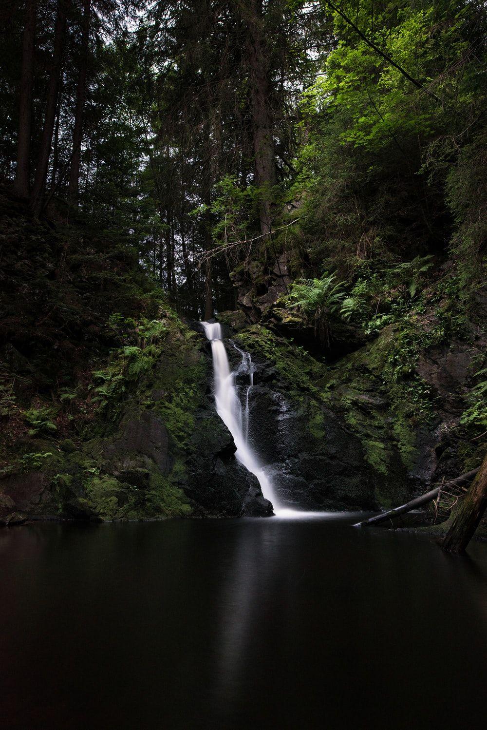 1000x1498 Black Forest, Germany Picture. Download Free Image