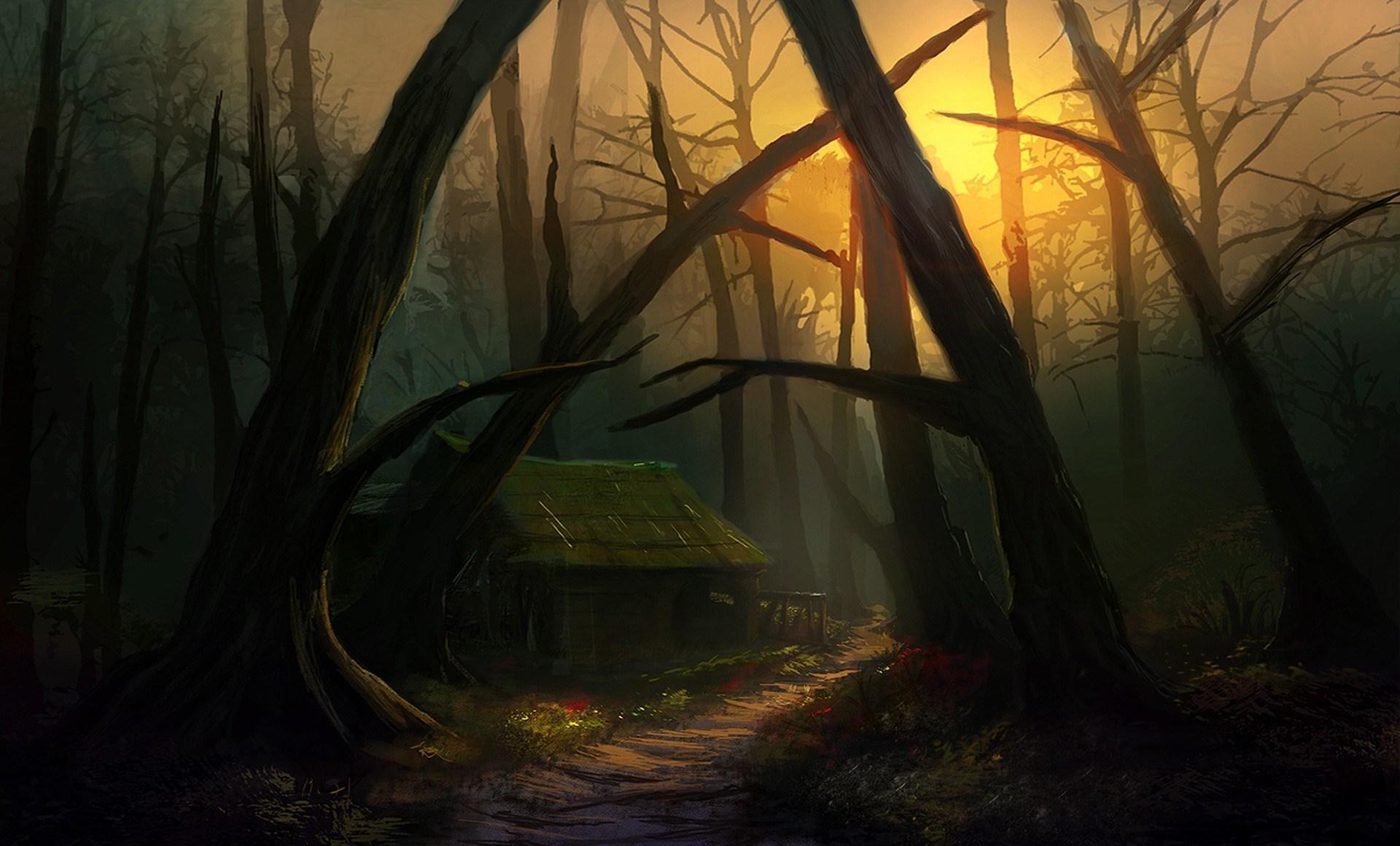 1920x1160 Black Forest Wallpaper