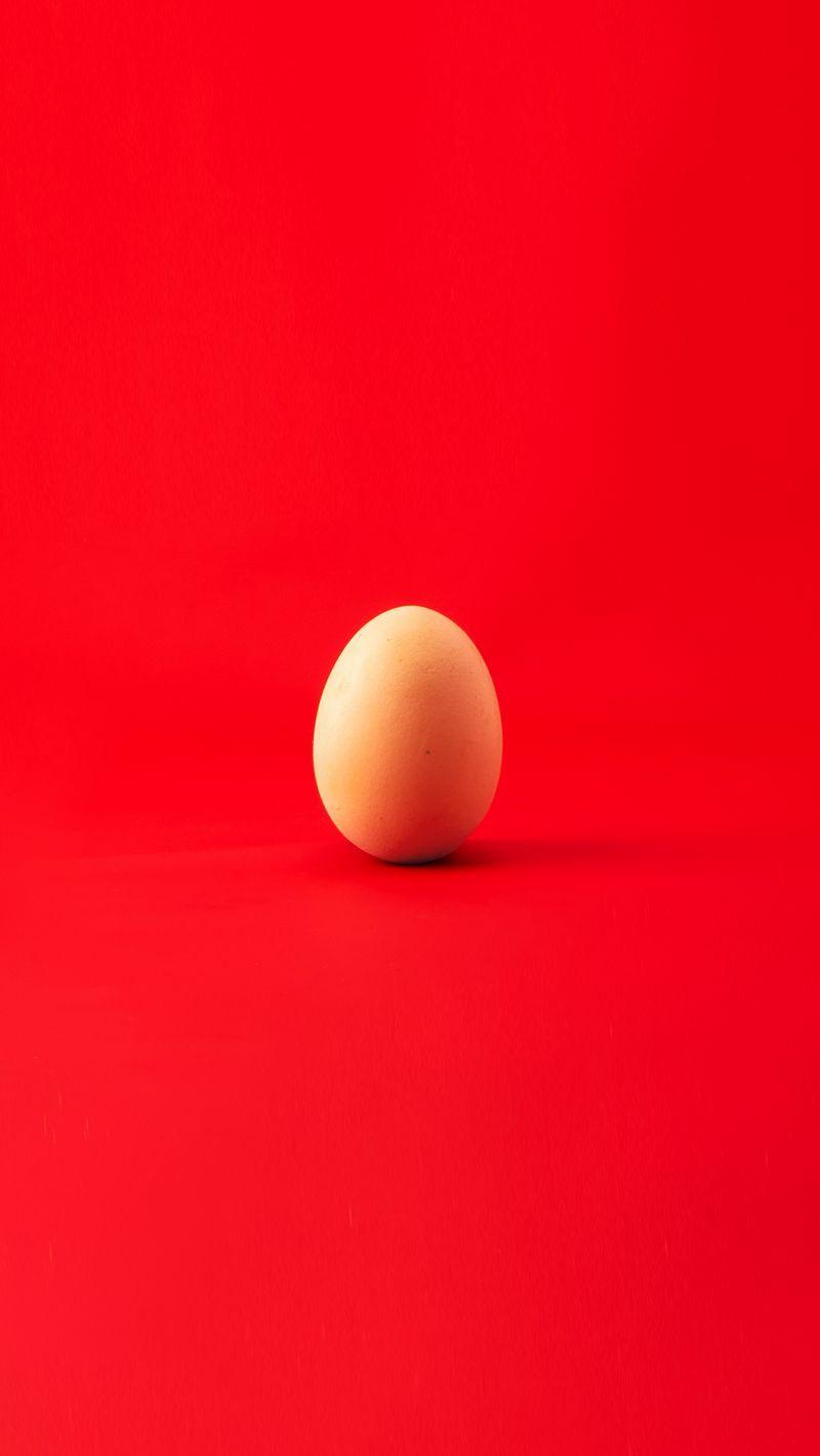 Minimalist Egg Wallpapers - Top Free Minimalist Egg Backgrounds