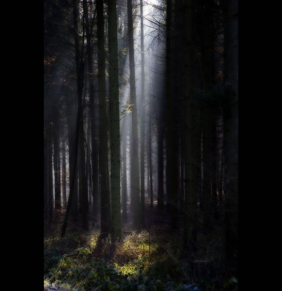 990x1024 Beautiful & Bewitching Black Forest (33 PICS)