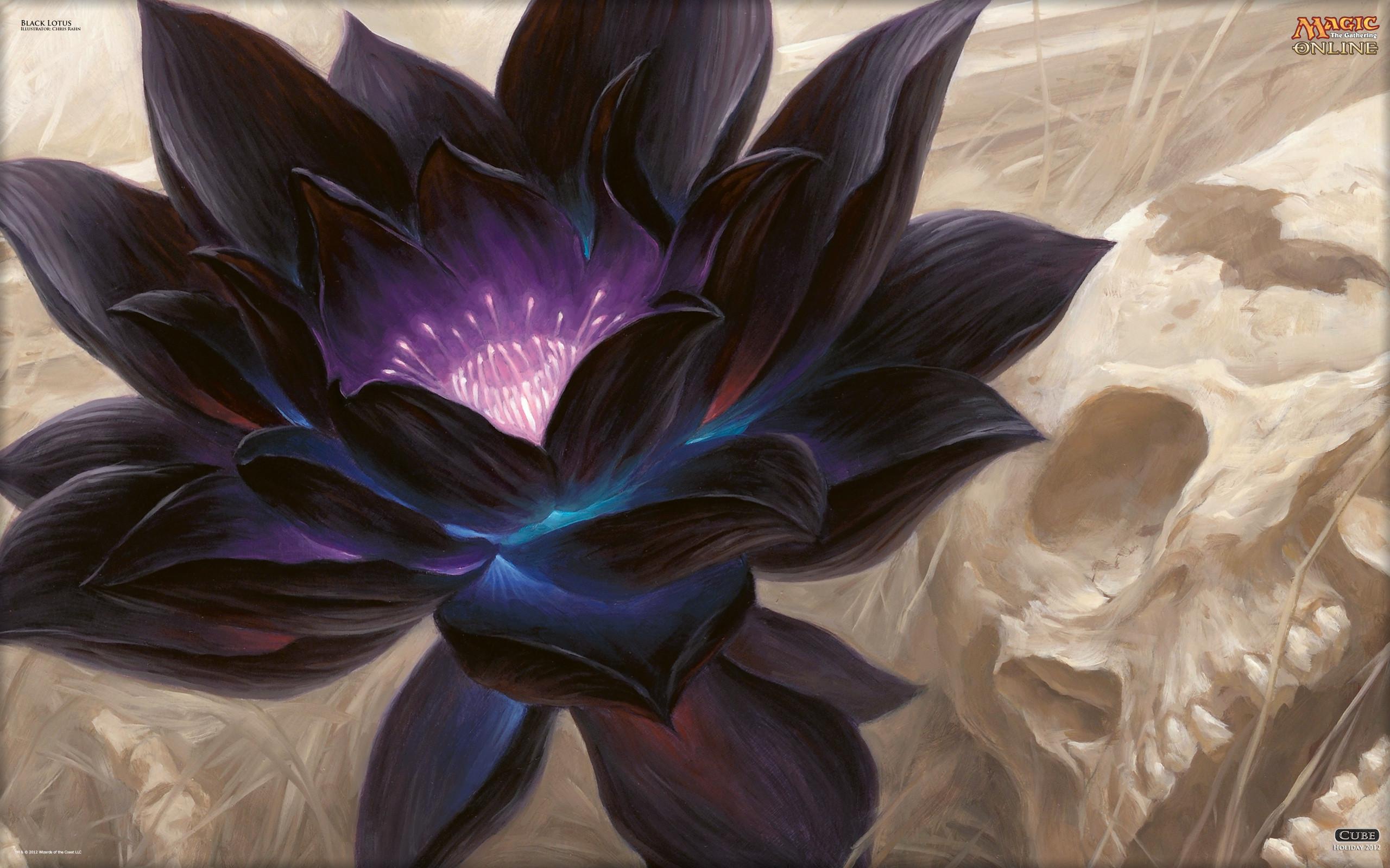 2560x1600 Lotus Flower Art Background .