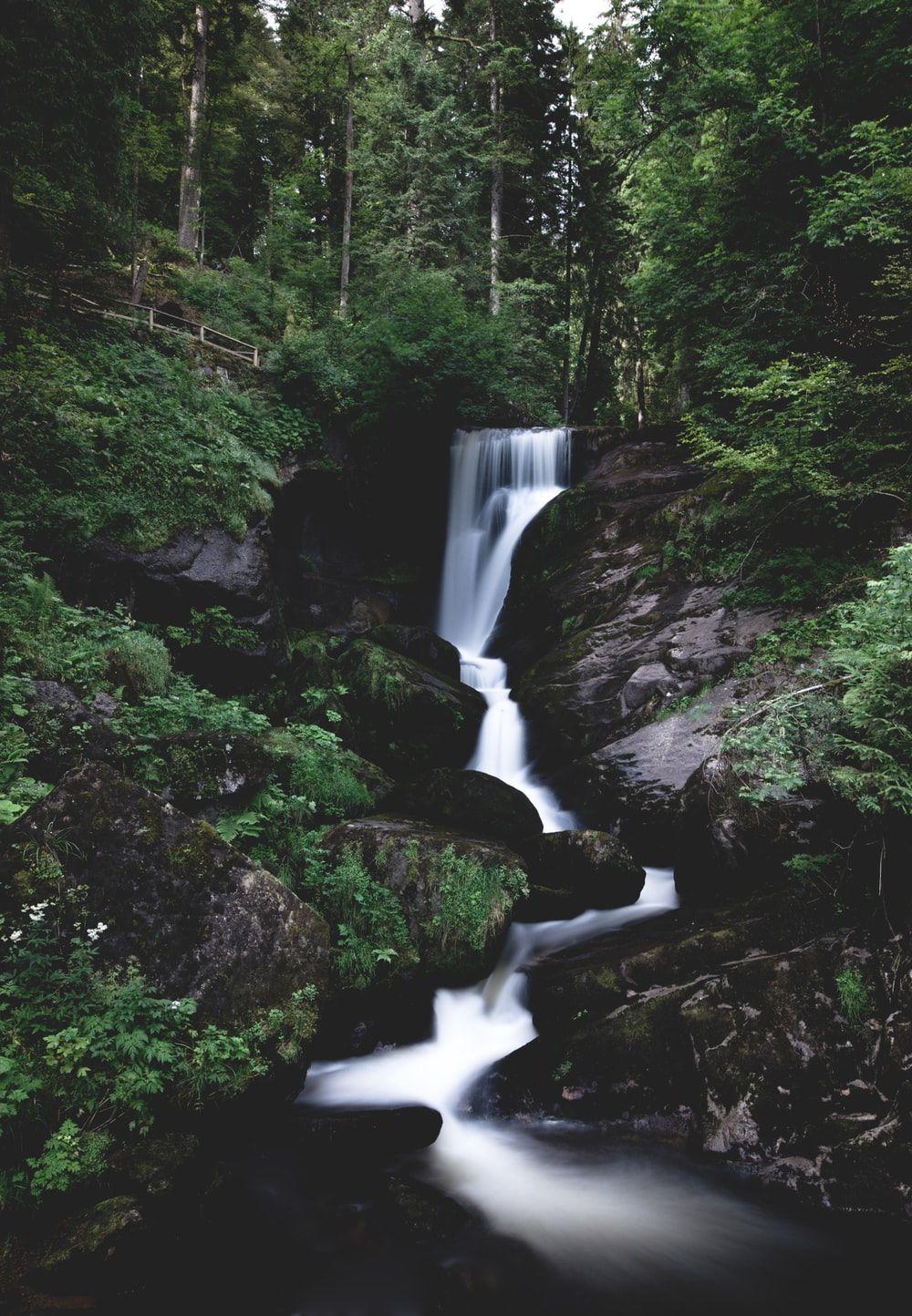 1000x1444 Black Forest, Germany Picture. Download Free Image
