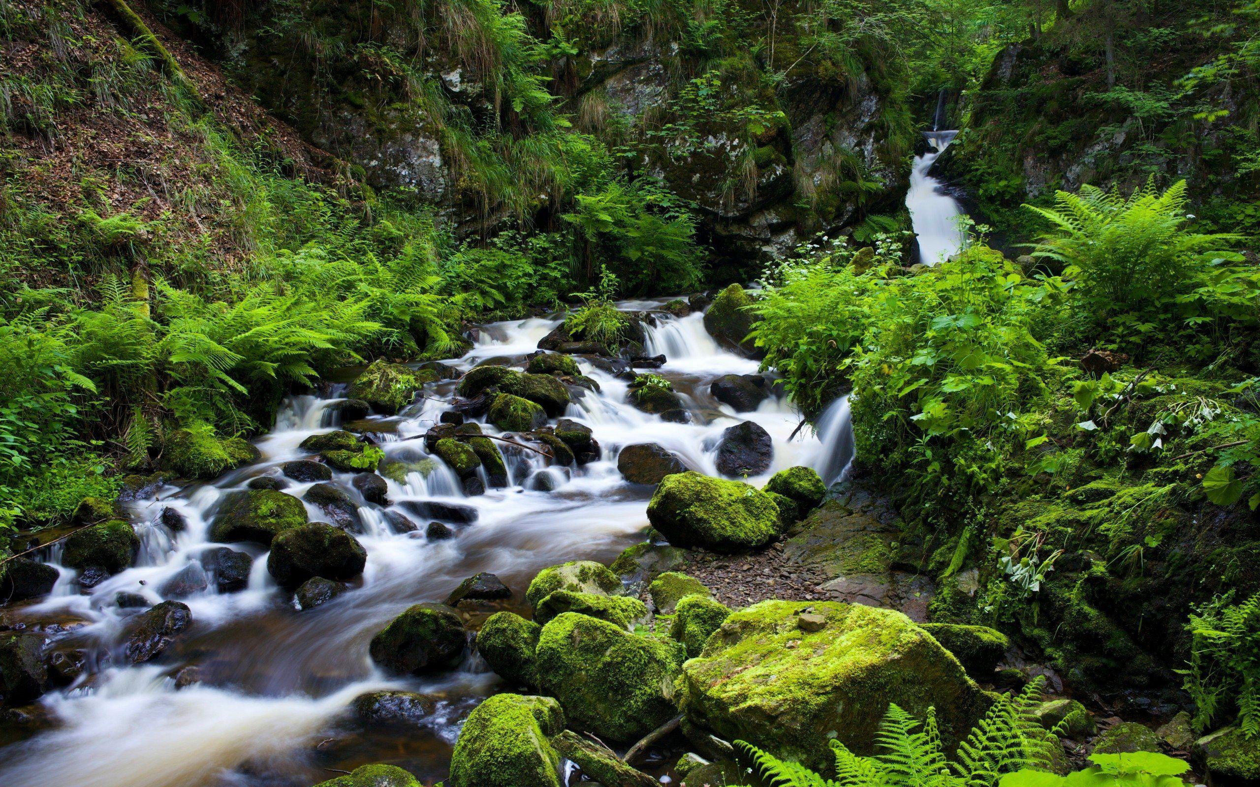 2560x1600 Download wallpaper mountain stream, stones, thickets, waterfall, forest, the black forest, germany, ravenna gorge, black forest for desktop with resolution 2560x1600. High Quality HD picture wallpaper