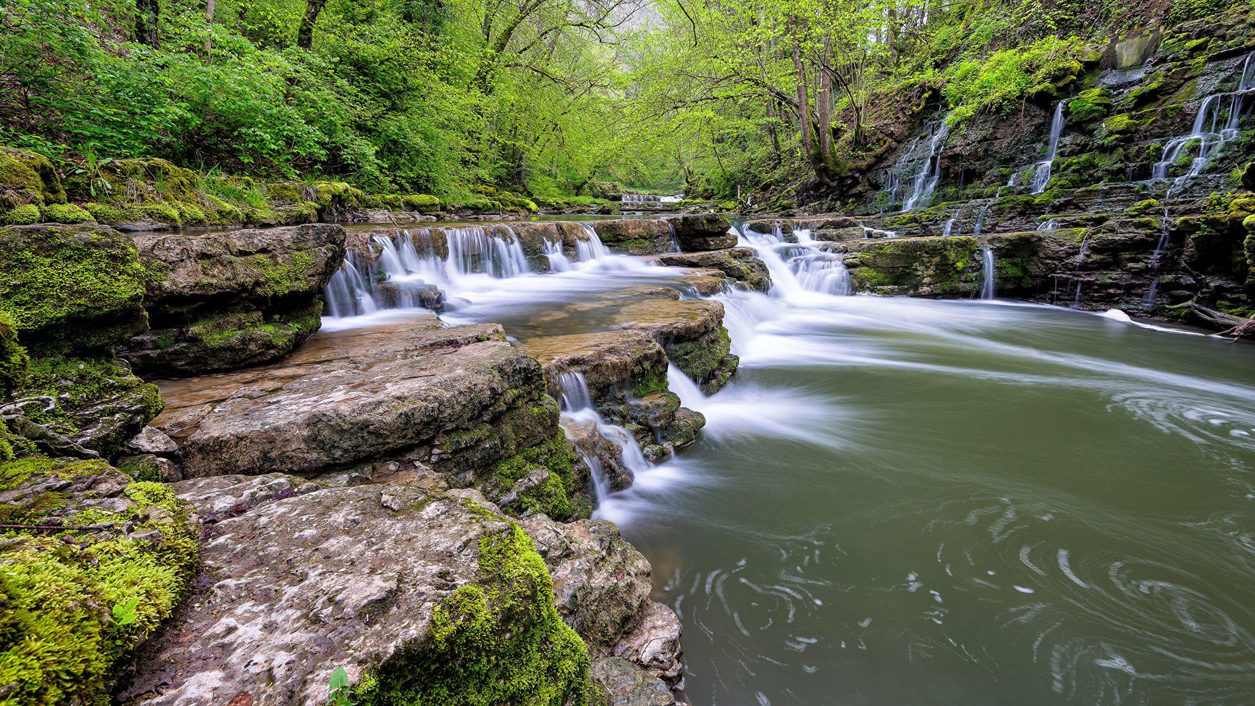 2560x1440 image Germany Black Forest Nature Stream Waterfalls 2560x1440