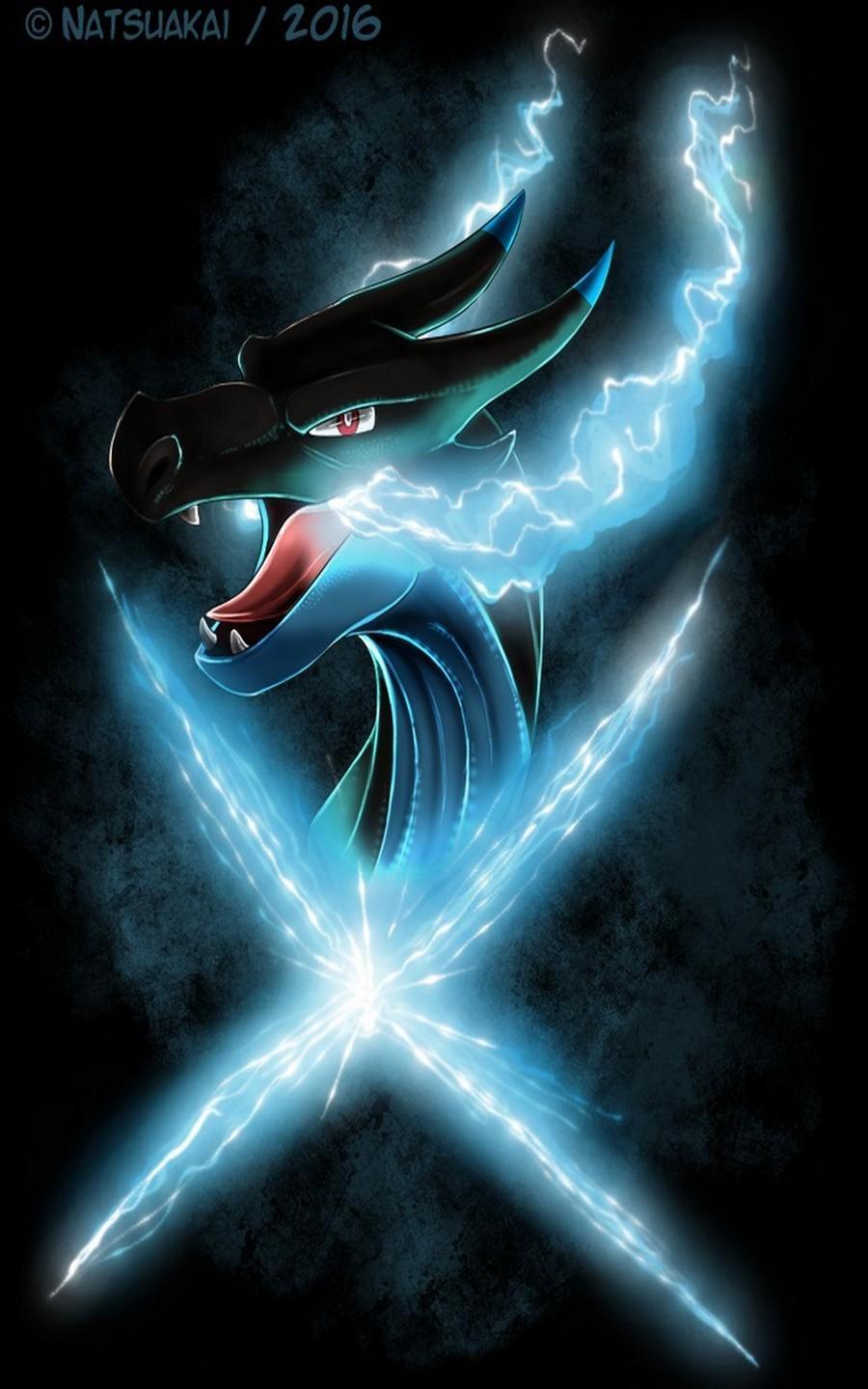 900x1440 Charizard X iPhone Wallpaper