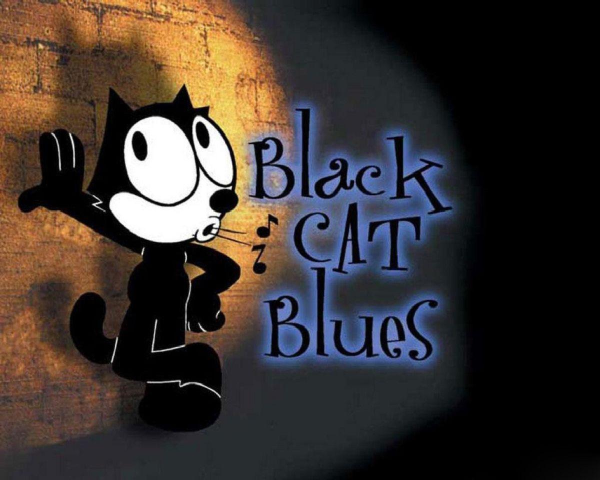 1200x960 Kris. Felix the cats, Black cat, Cat wallpaper