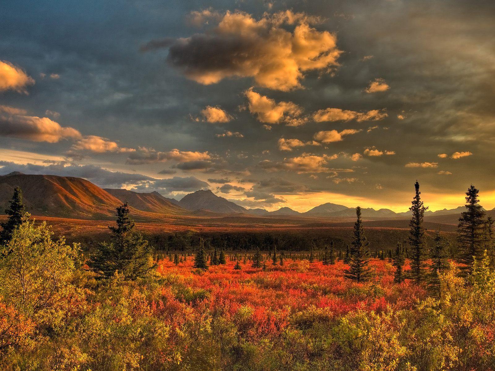 1600x1200 Nature Wallpaper HD