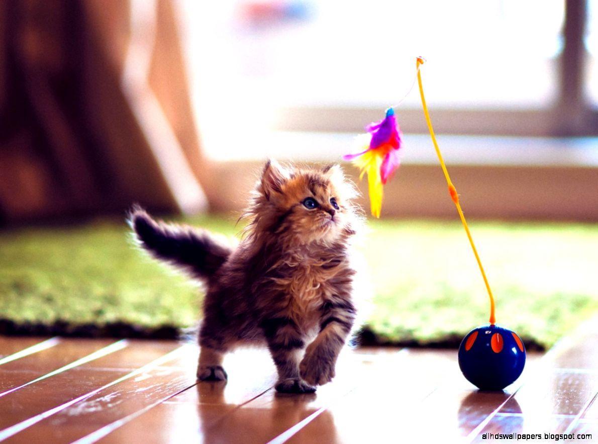 1190x883 Cute Wallpaper For Windows 8. All HD Wallpaper