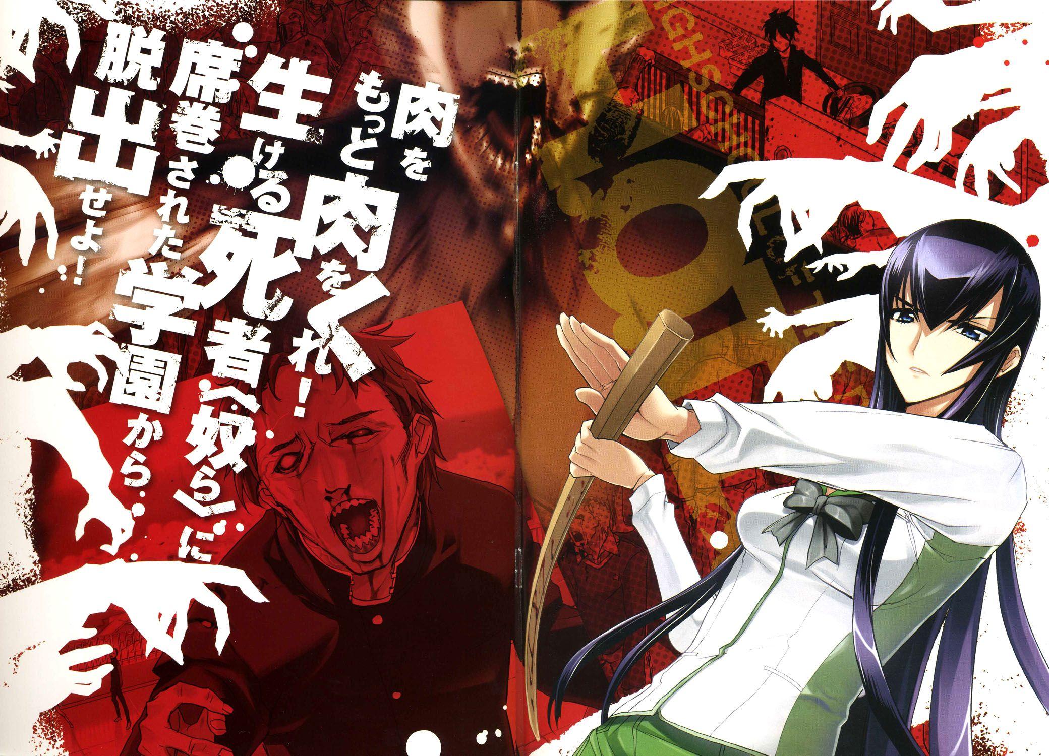 2080x1500 High School Of The Dead Wallpaper 4k