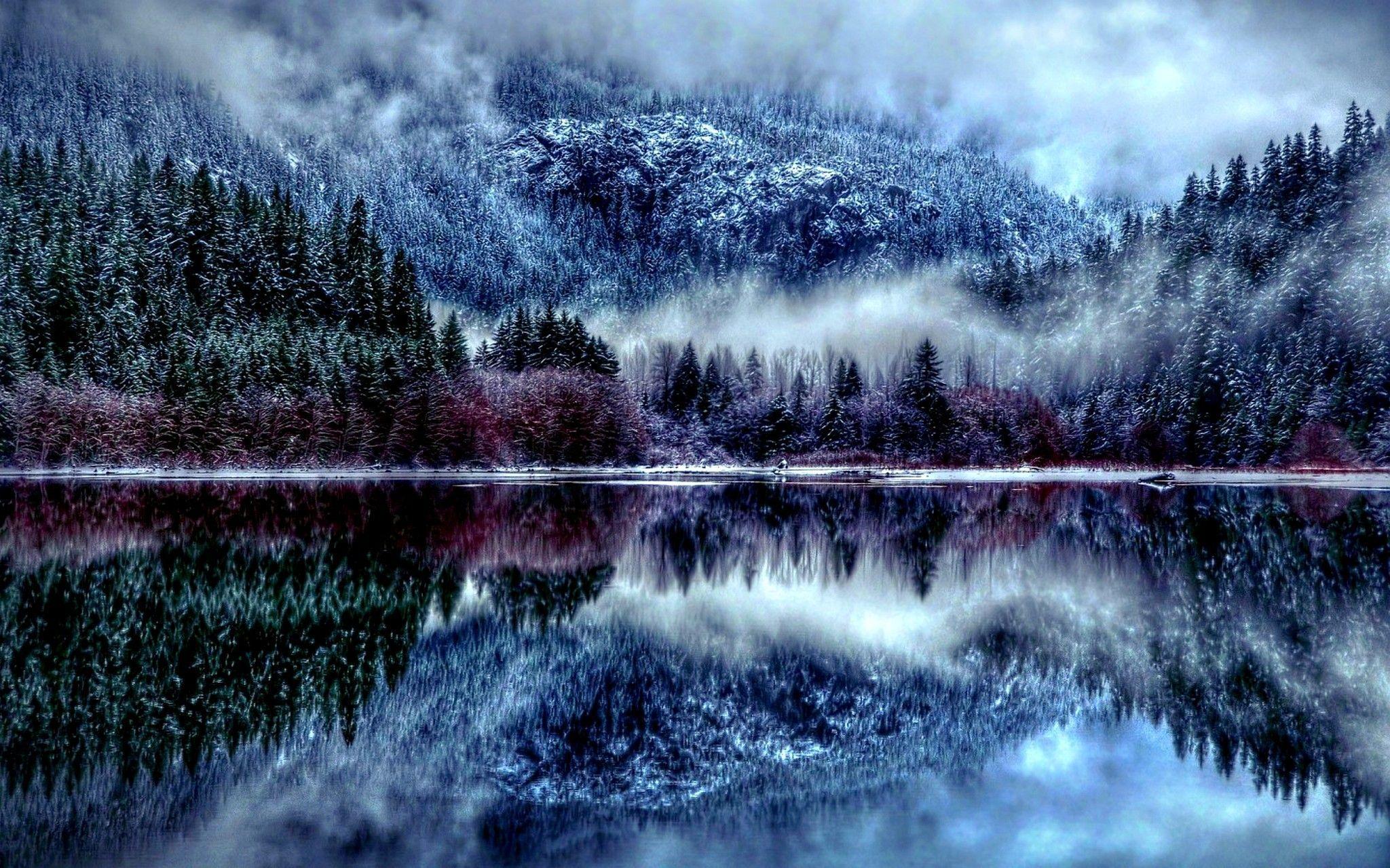 2048x1280 Winter Forest HD Wallpaper Season Desktop HD Wallpaper. Winter forest, Winter lake, Winter wallpaper