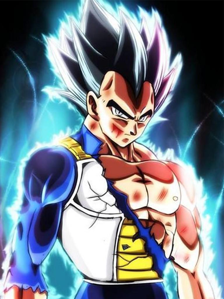 768x1024 Goku And Vegeta Ultra Instinct Wallpaper