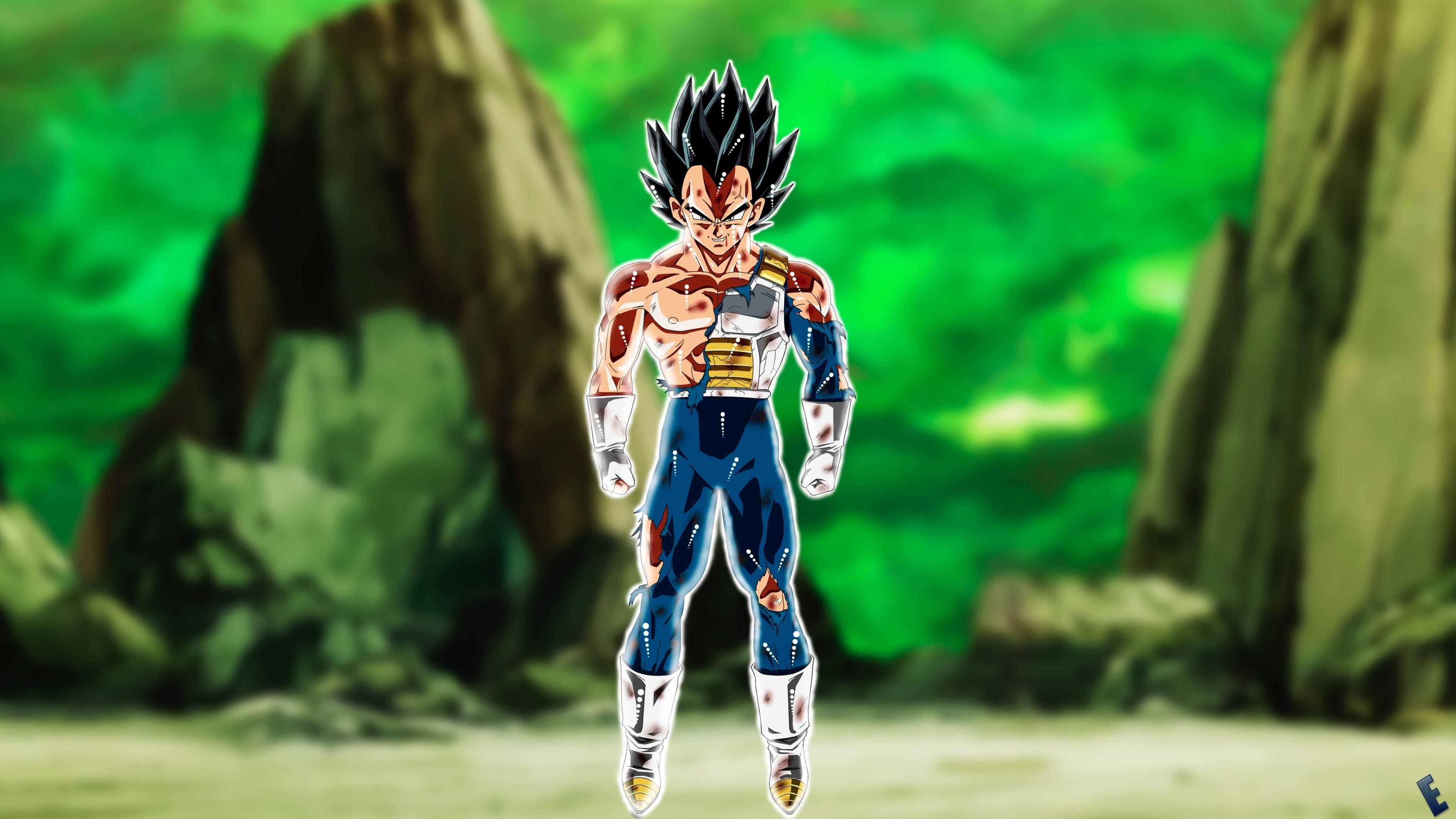3840x2160 Ideas For Ultra Instinct Goku And Vegeta Wallpaper 4k image