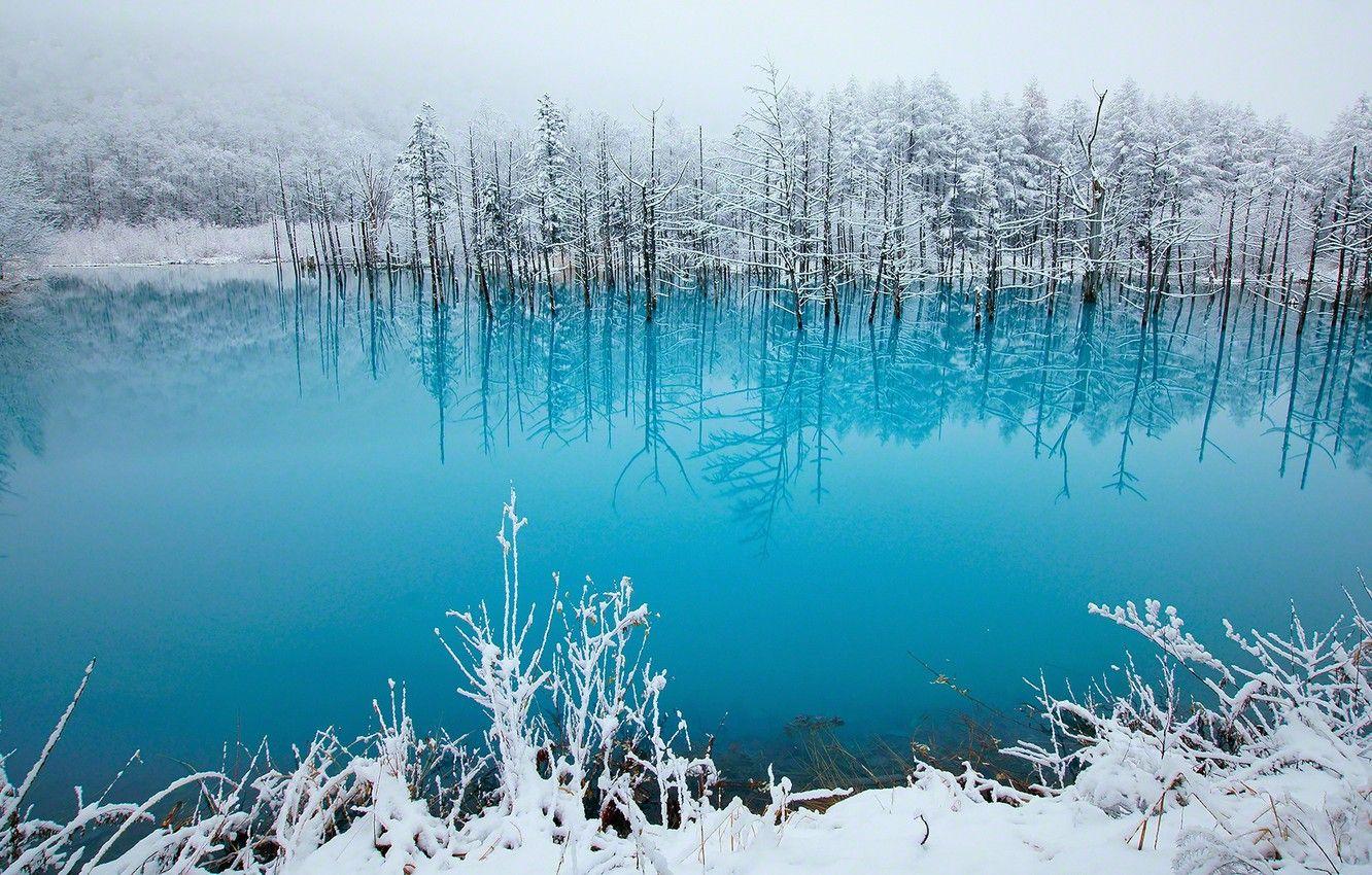 1332x850 Wallpaper winter, lake, beauty, tale, Japan, photo, blue, snow, pond, Hokkaido, Kent Shiraishi, Biei image for desktop, section пейзажи