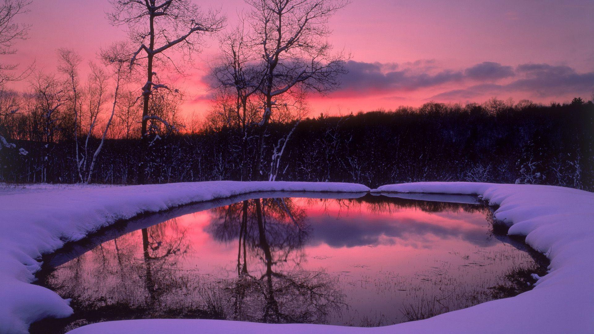 1920x1080 Forest trees night Snow winter lake