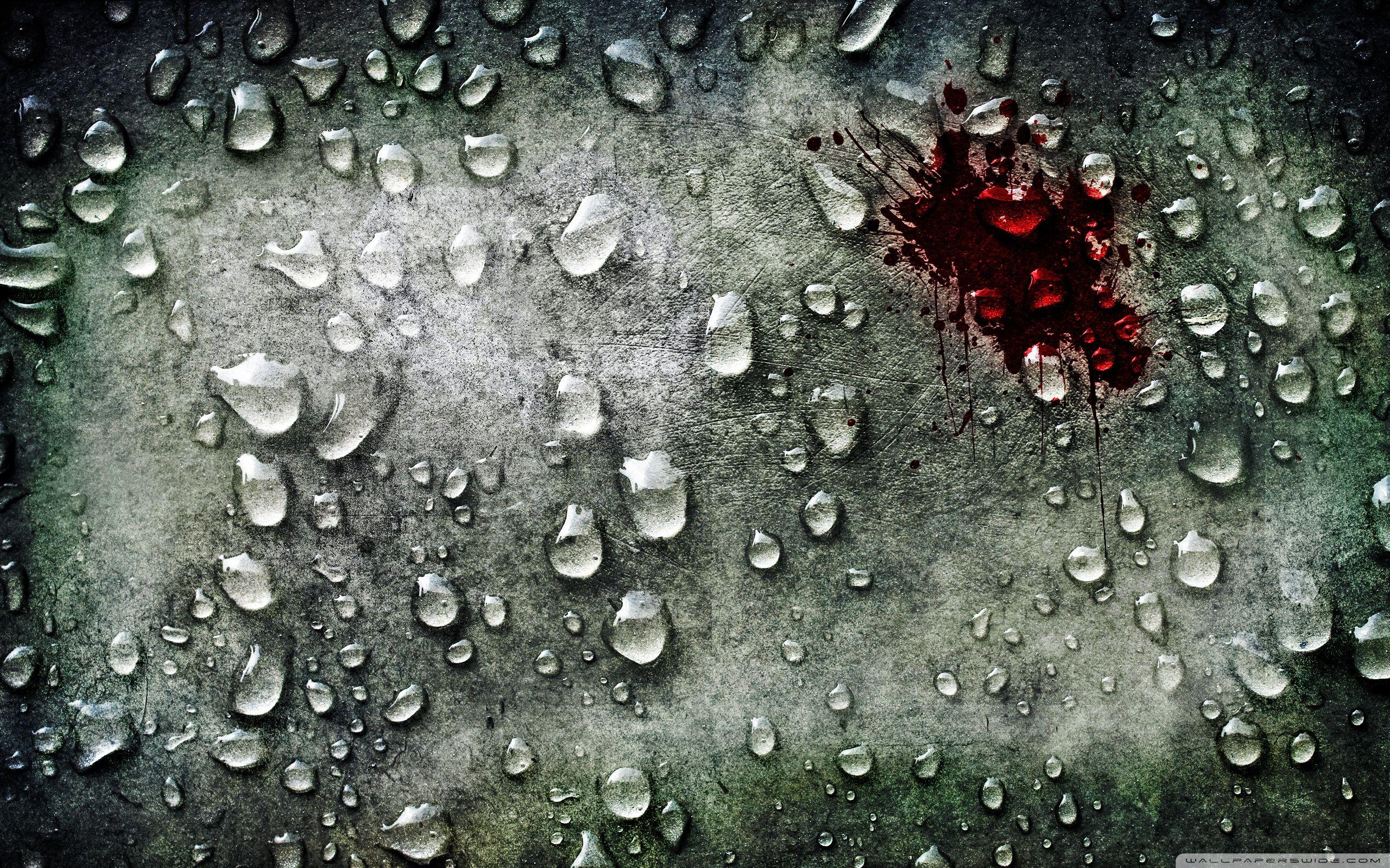 2560x1600 Download Drop Of Blood UltraHD Wallpaper