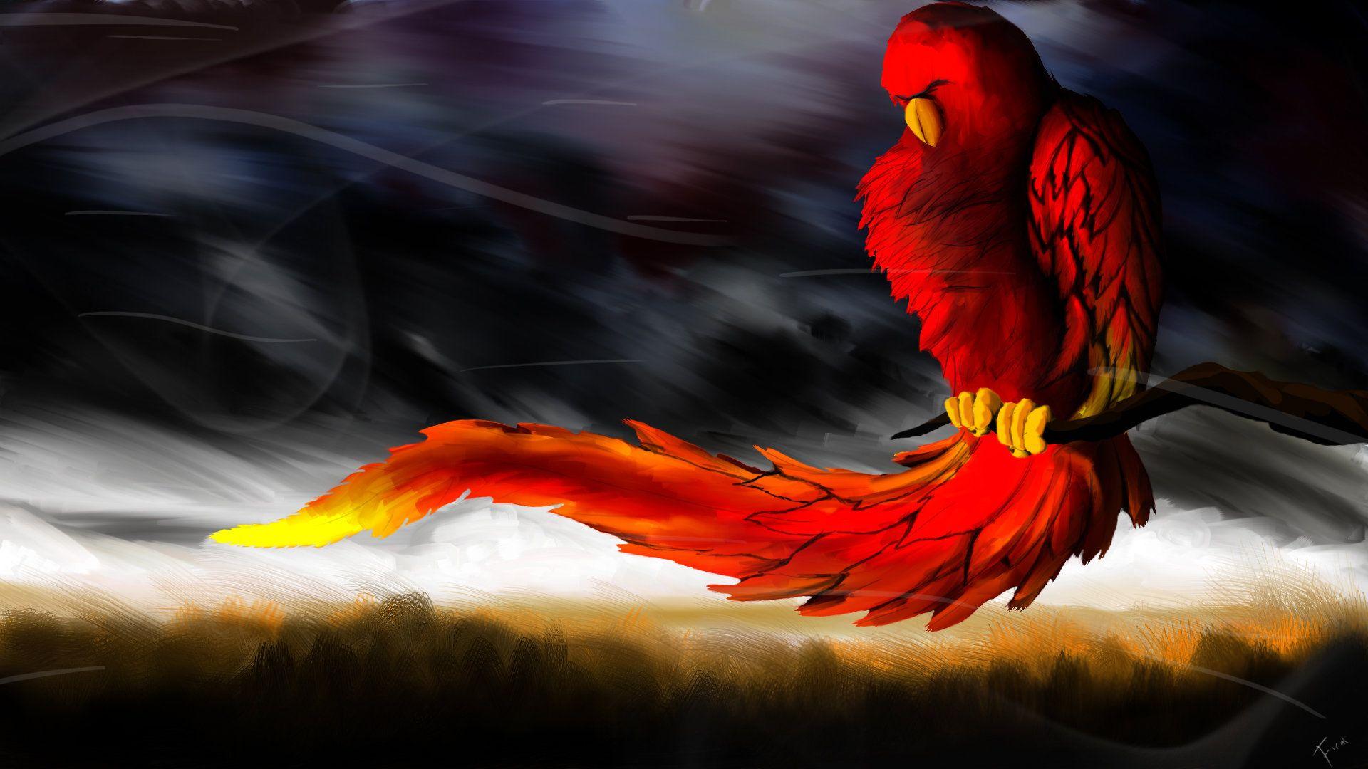 1920x1080 Free Download Cool Animal Wallpaper Id Animal Wallpaper 1080p Download