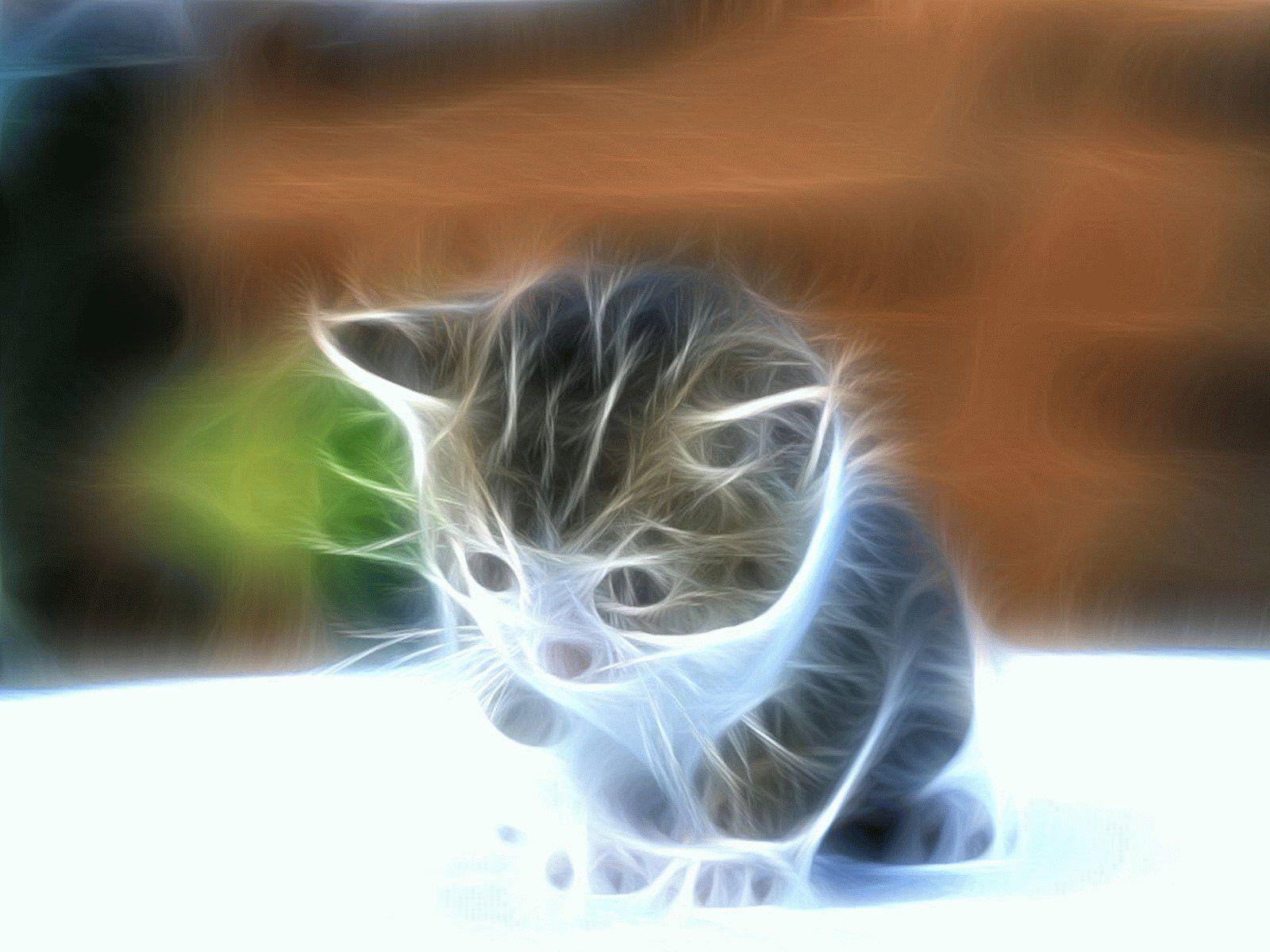 1600x1200 Cool Animal Wallpaper. Animal wallpaper, Animals, Animal picture
