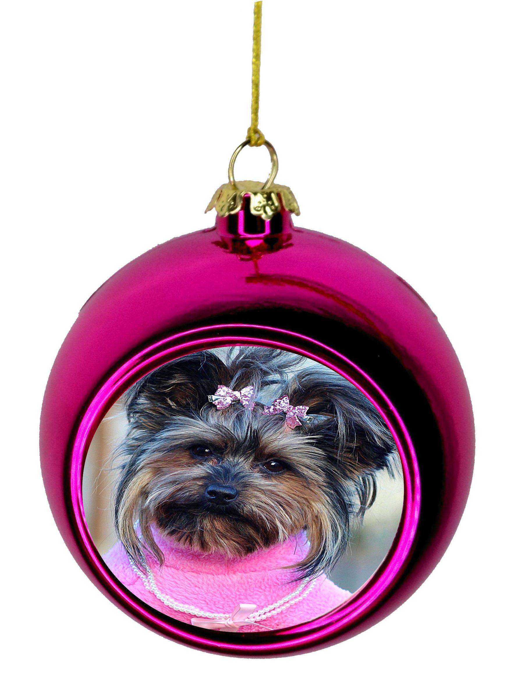 Christmas Yorkie Wallpapers - Top Free Christmas Yorkie Backgrounds