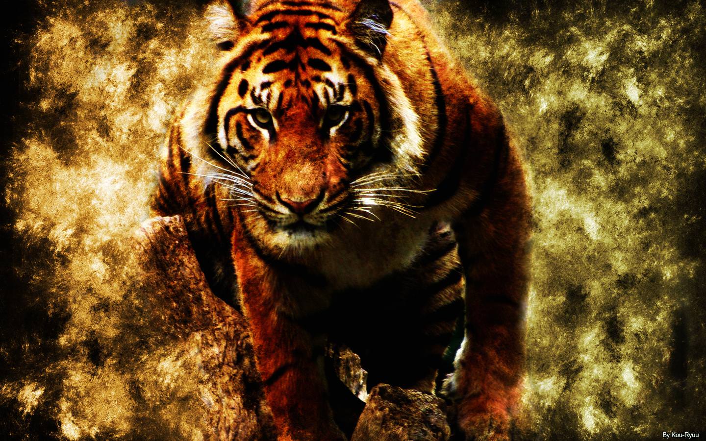 1440x900 Fire Tiger Wallpaper