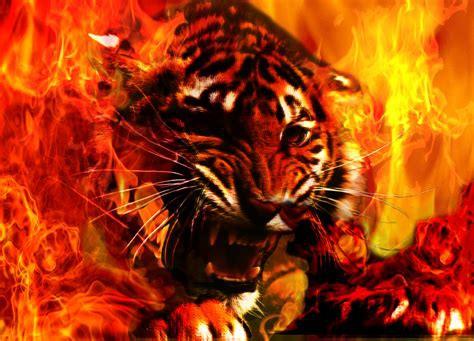 474x341 Blue Fire Tiger Wallpaper .