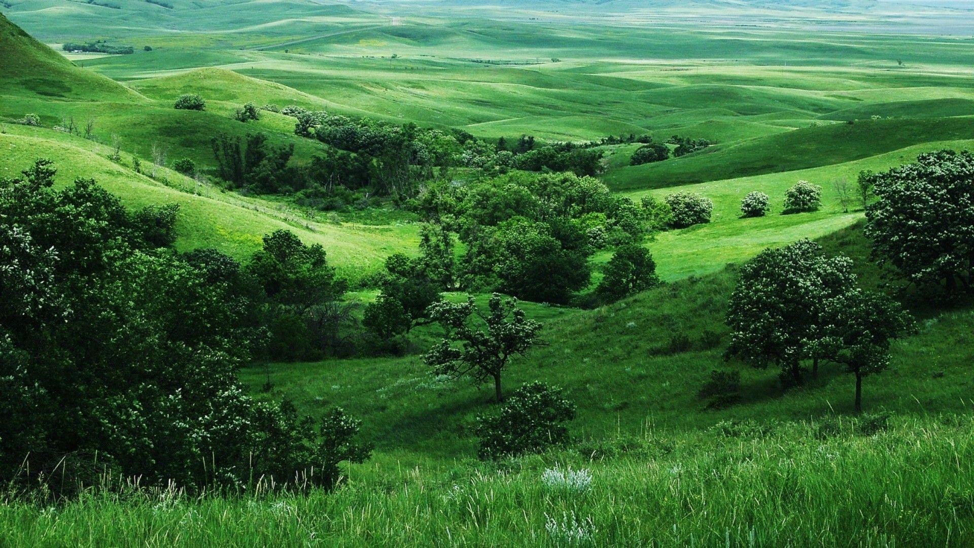 1920x1080 Ireland Countryside Wallpaper
