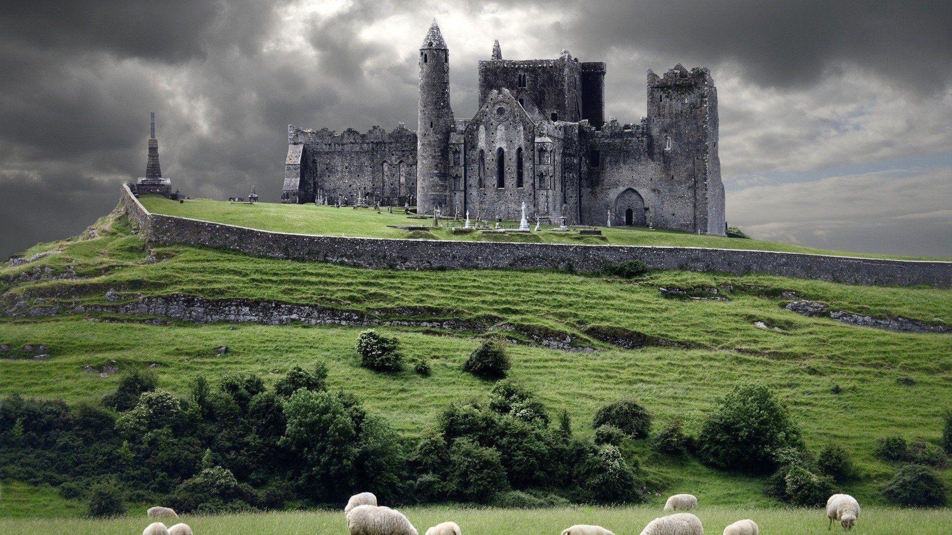 1920x1080 Man Made Rock Of Cashel Historic Landscape Castle Sheep Earth Nature
