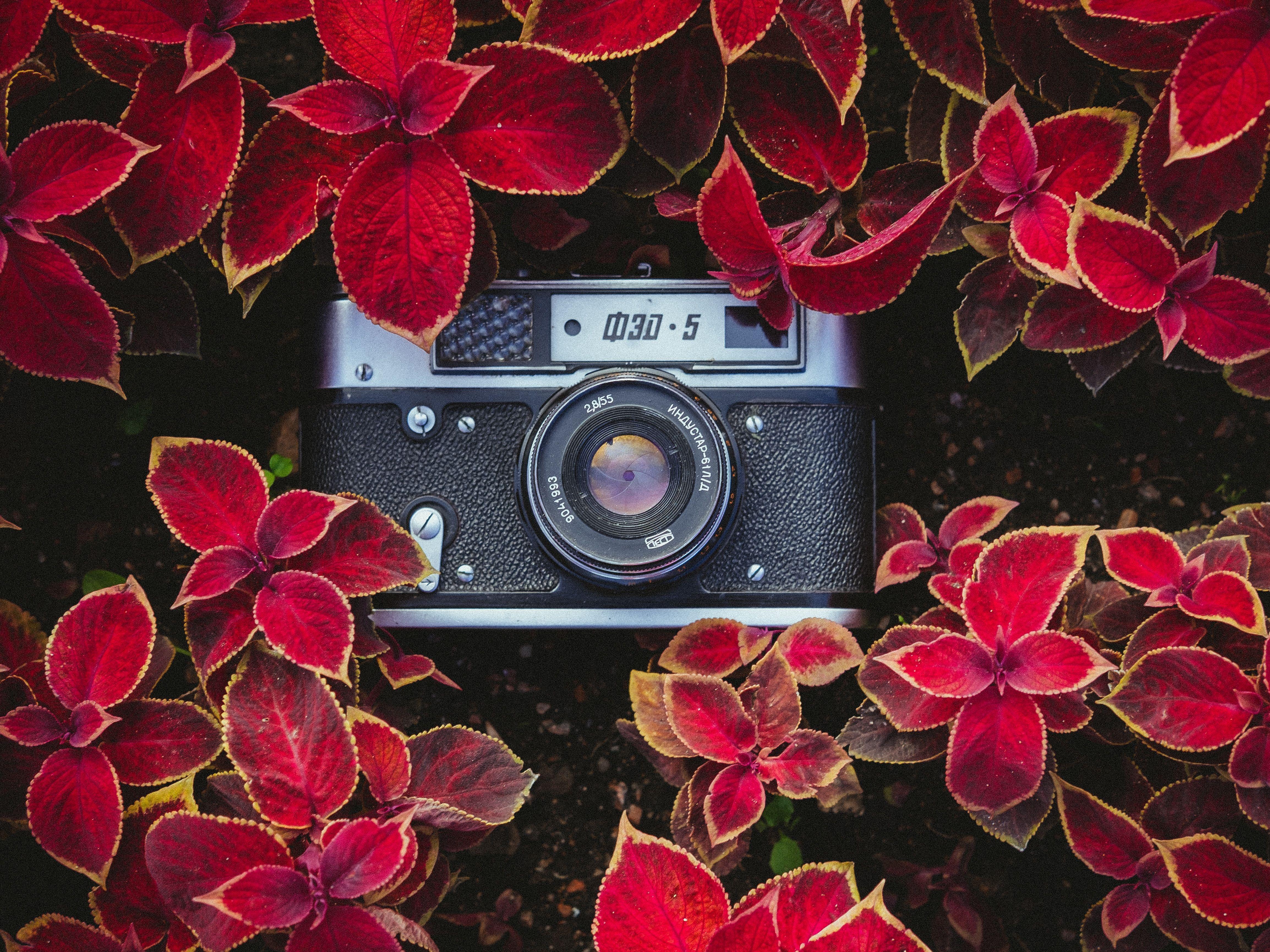 4615x3461 vintage camera HD wallpaper, background