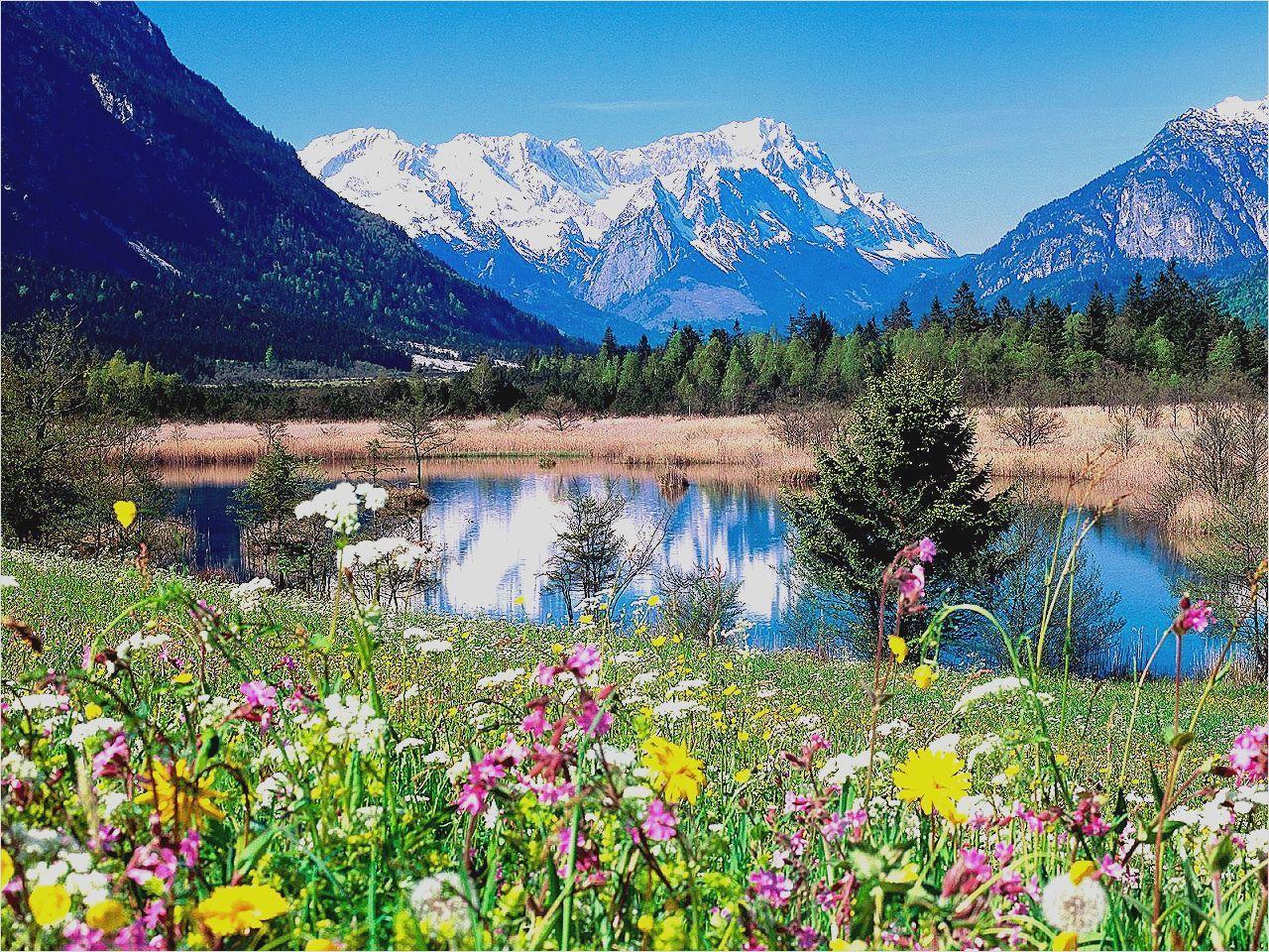 1280x960 Inspirational Computer Wallpaper Spring