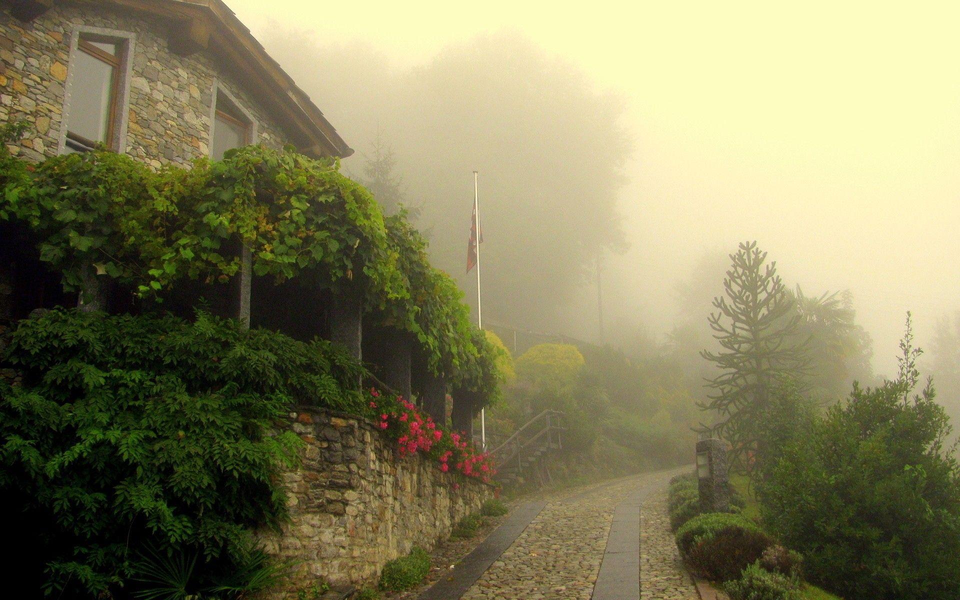 1920x1200 Fog Morning Wallpaper At Village HD Wallpaper