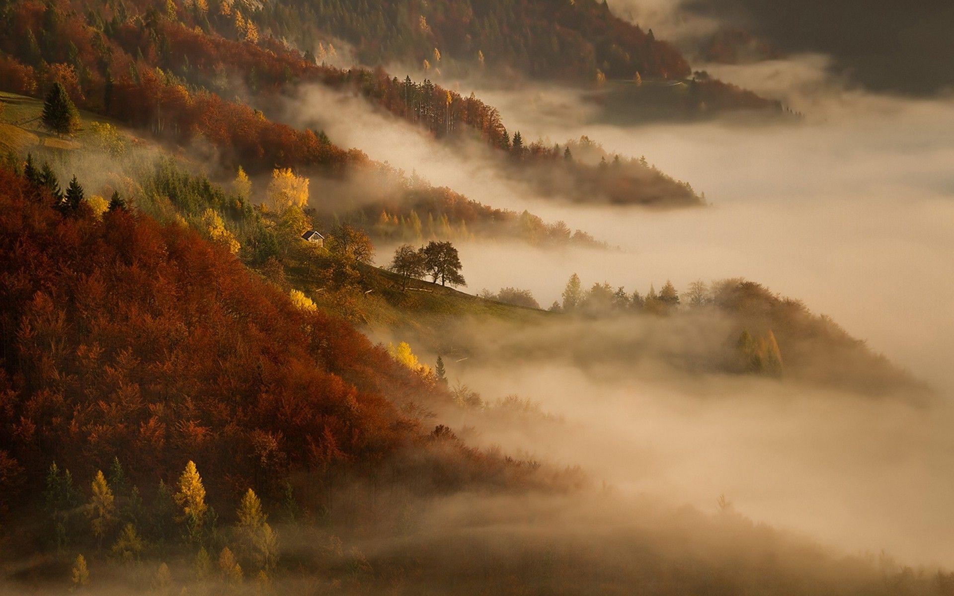 1920x1200 mist, Nature, Sunrise, Landscape, Morning, Fall, Mountain, Forest, Cottage, Trees Wallpaper HD / Desktop and Mobile Background