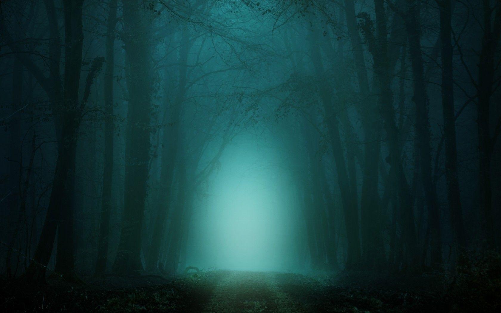 1680x1050 Download 1680x1050 Dark Forest, Foggy, Turquoise Light, Path Wallpaper for MacBook Pro 15 inch