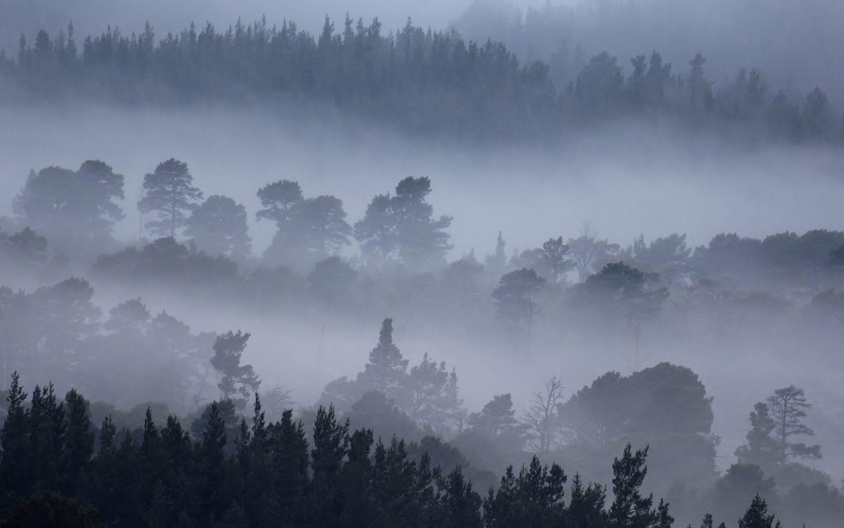 1680x1050 Free download mountain forest fog tree landscape HD wallpaper wallpaper background [1920x1080] for your Desktop, Mobile & Tablet. Explore Fog Forest Wallpaper. Foggy Lake Wallpaper, Foggy Forest Wallpaper, Fog Wallpaper HD
