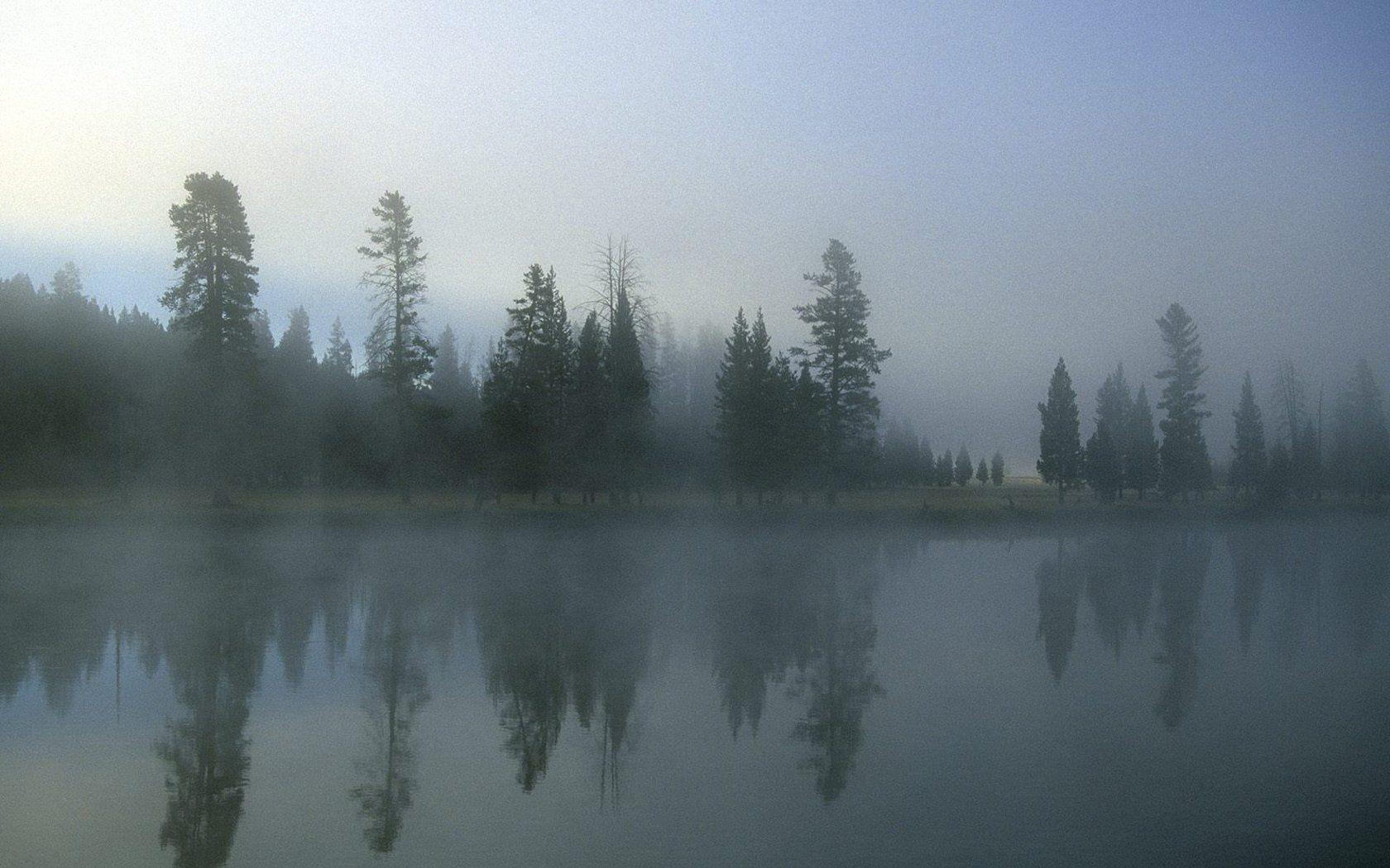 1680x1050 Fog wallpaperx1050